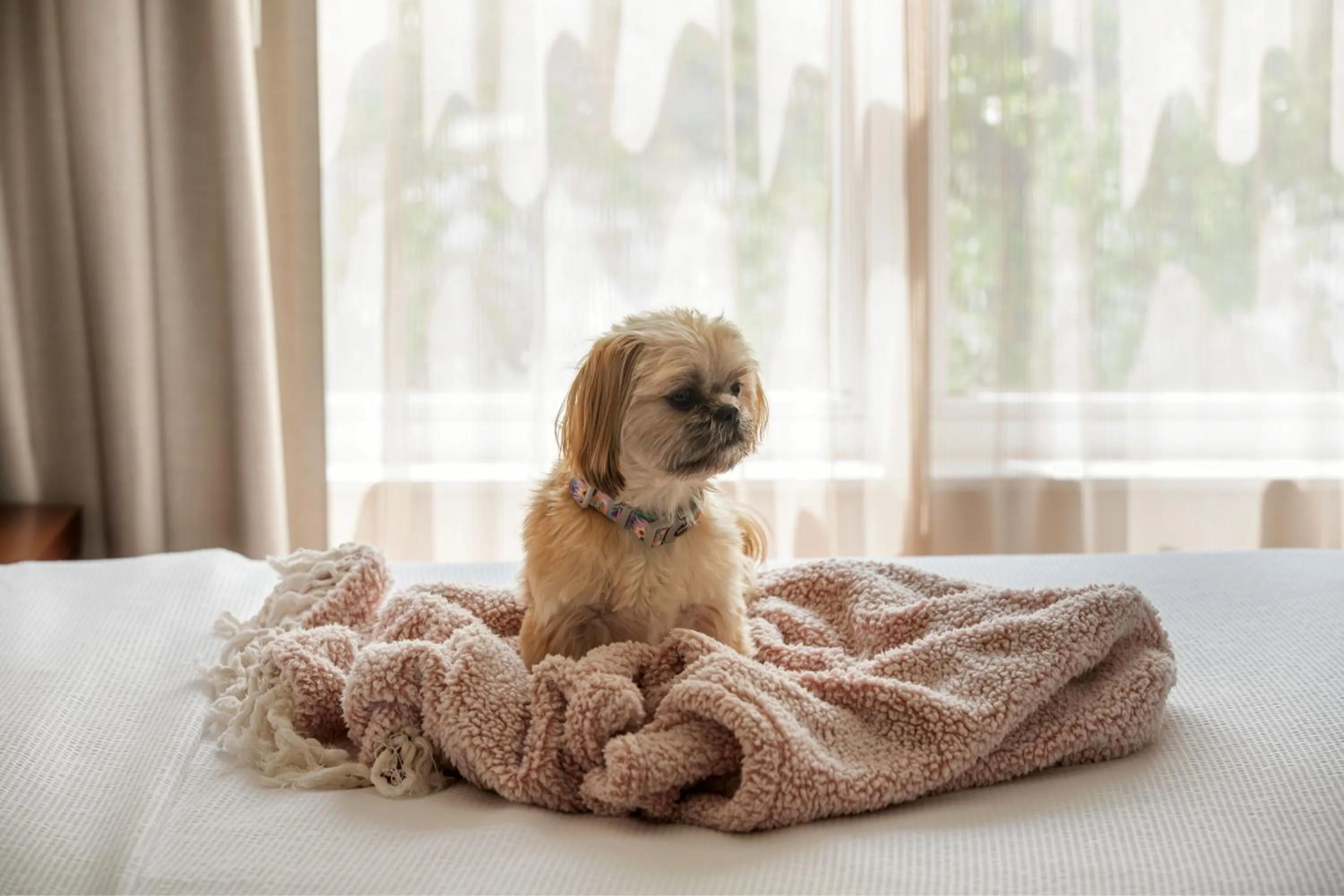 Other in Residence Inn Long Island Holtsville