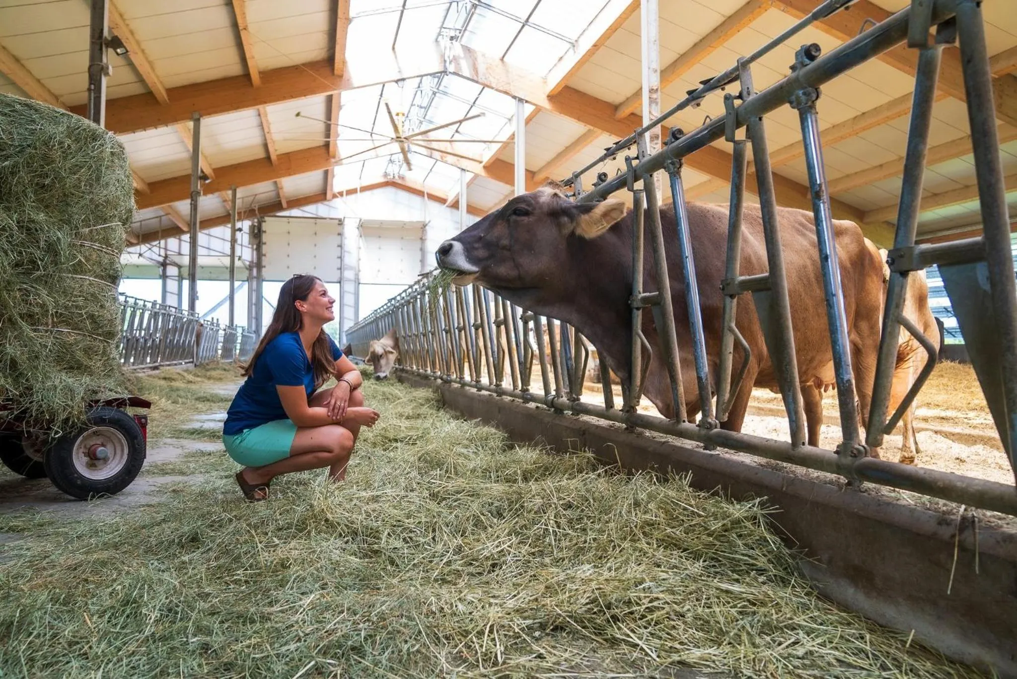 Nearby landmark in Holiday Inn St-Jean-sur-Richelieu Congrès by IHG