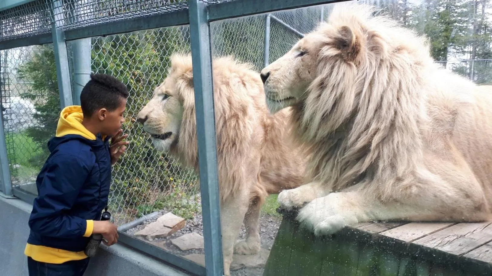 Nearby landmark in Holiday Inn St-Jean-sur-Richelieu Congrès by IHG