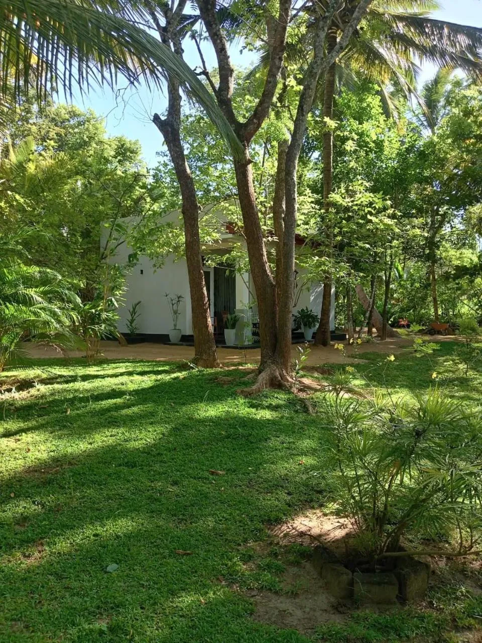 Kings Village Sigiriya