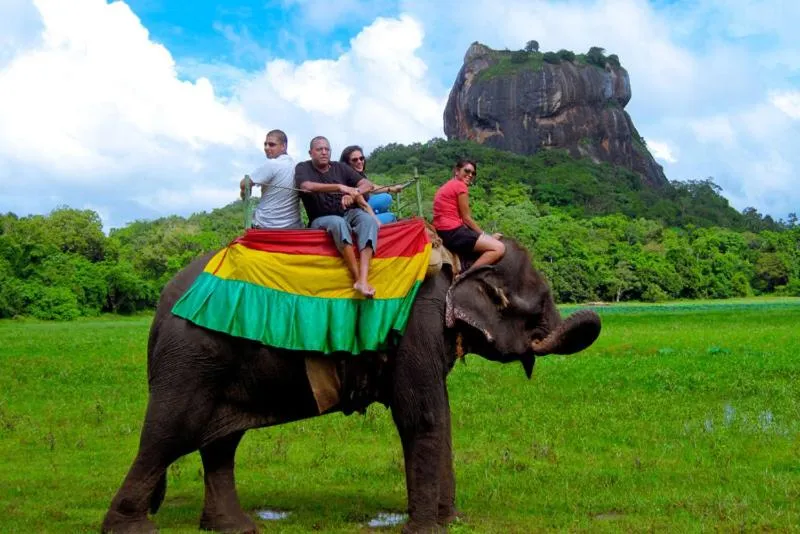 Kings Village Sigiriya