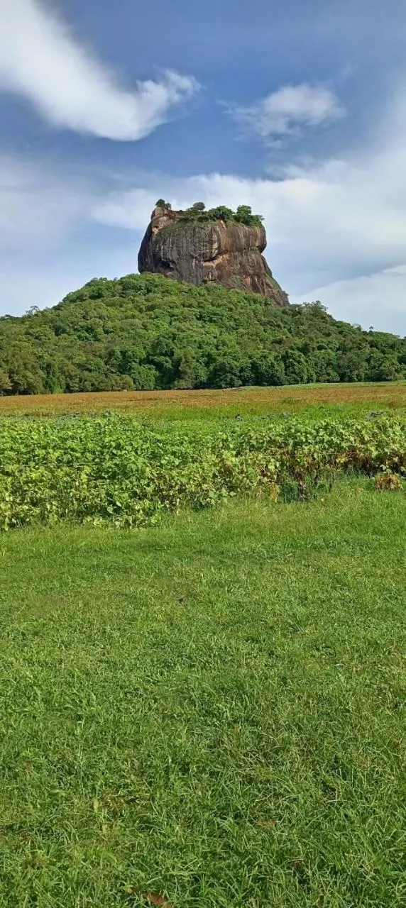 Kings Village Sigiriya