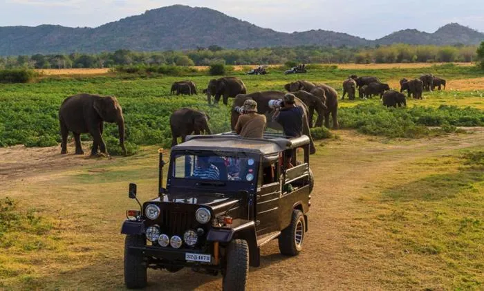 Kings Village Sigiriya