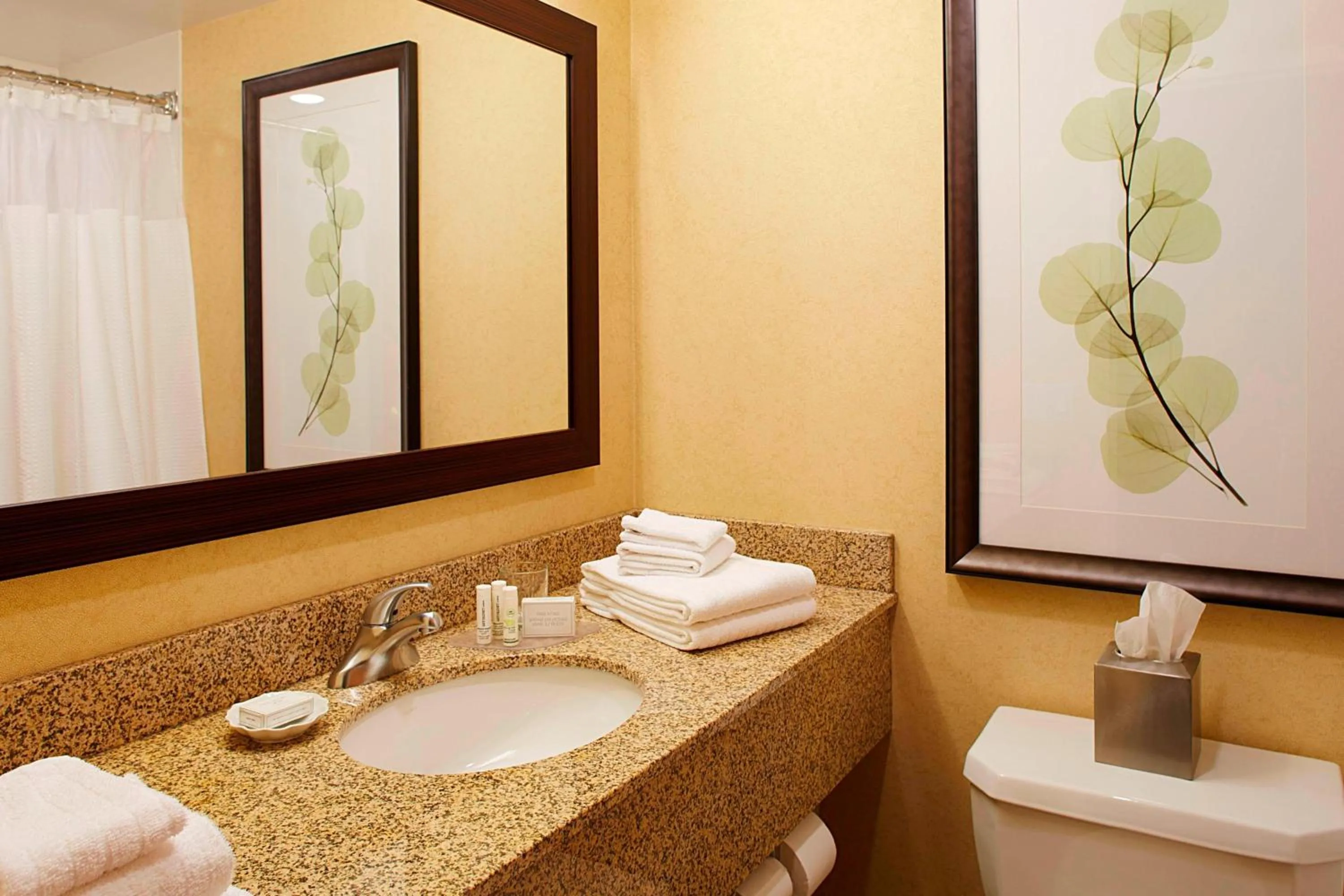 Bathroom in Courtyard by Marriott Ithaca Airport/University