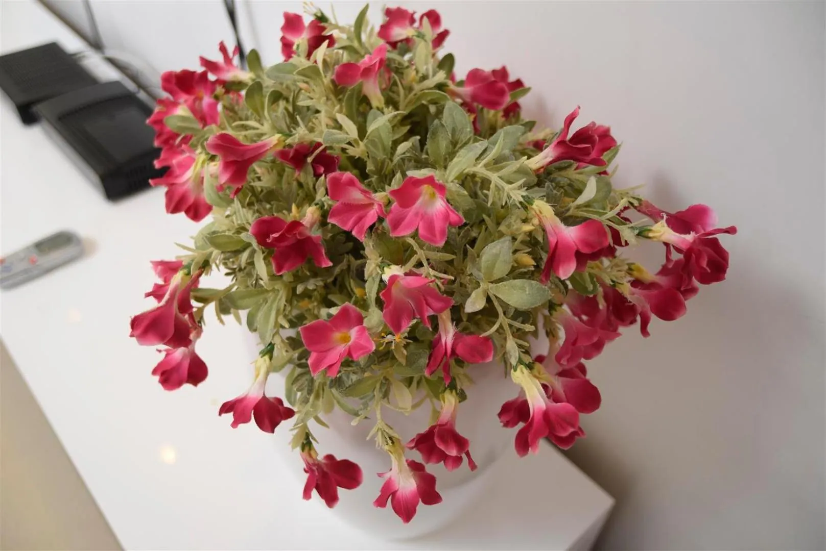 Decorative detail in City Resort Palmore