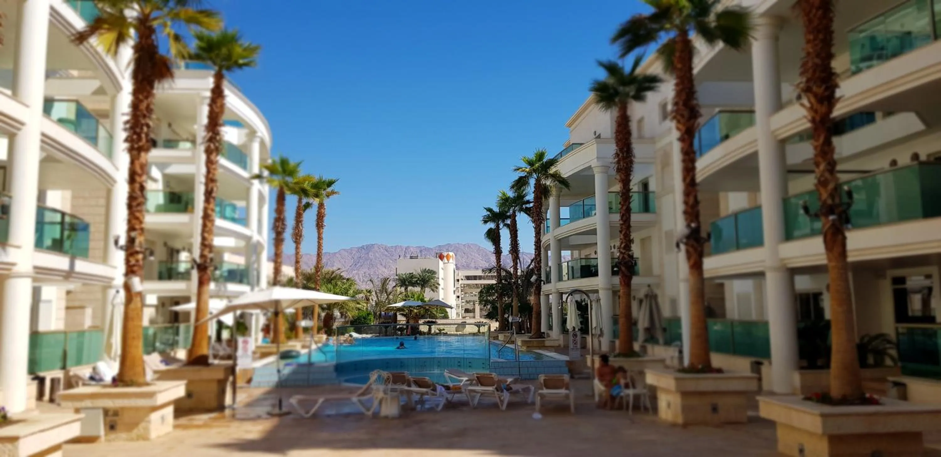 Swimming pool in City Resort Palmore