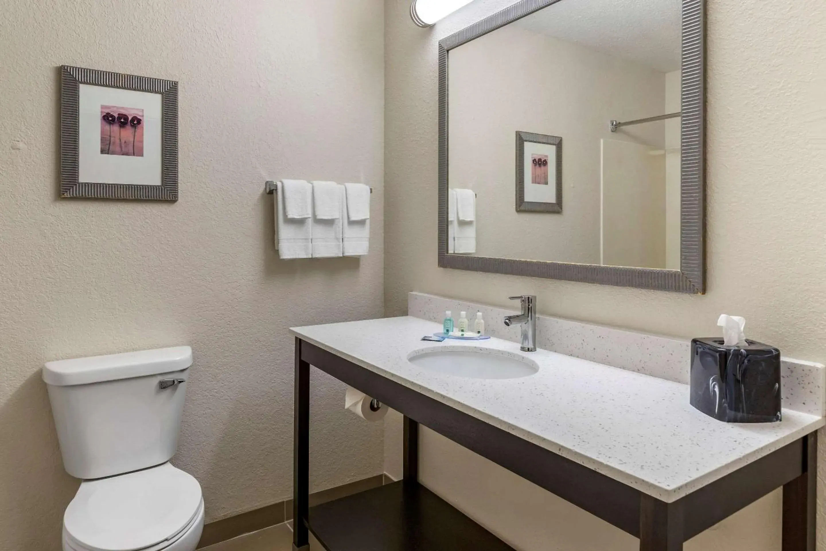 Queen Room with Two Queen Beds - Non-Smoking in Quality Inn & Suites Queen Room with Two Queen Beds - Non-Smoking in Quality Inn & Suites