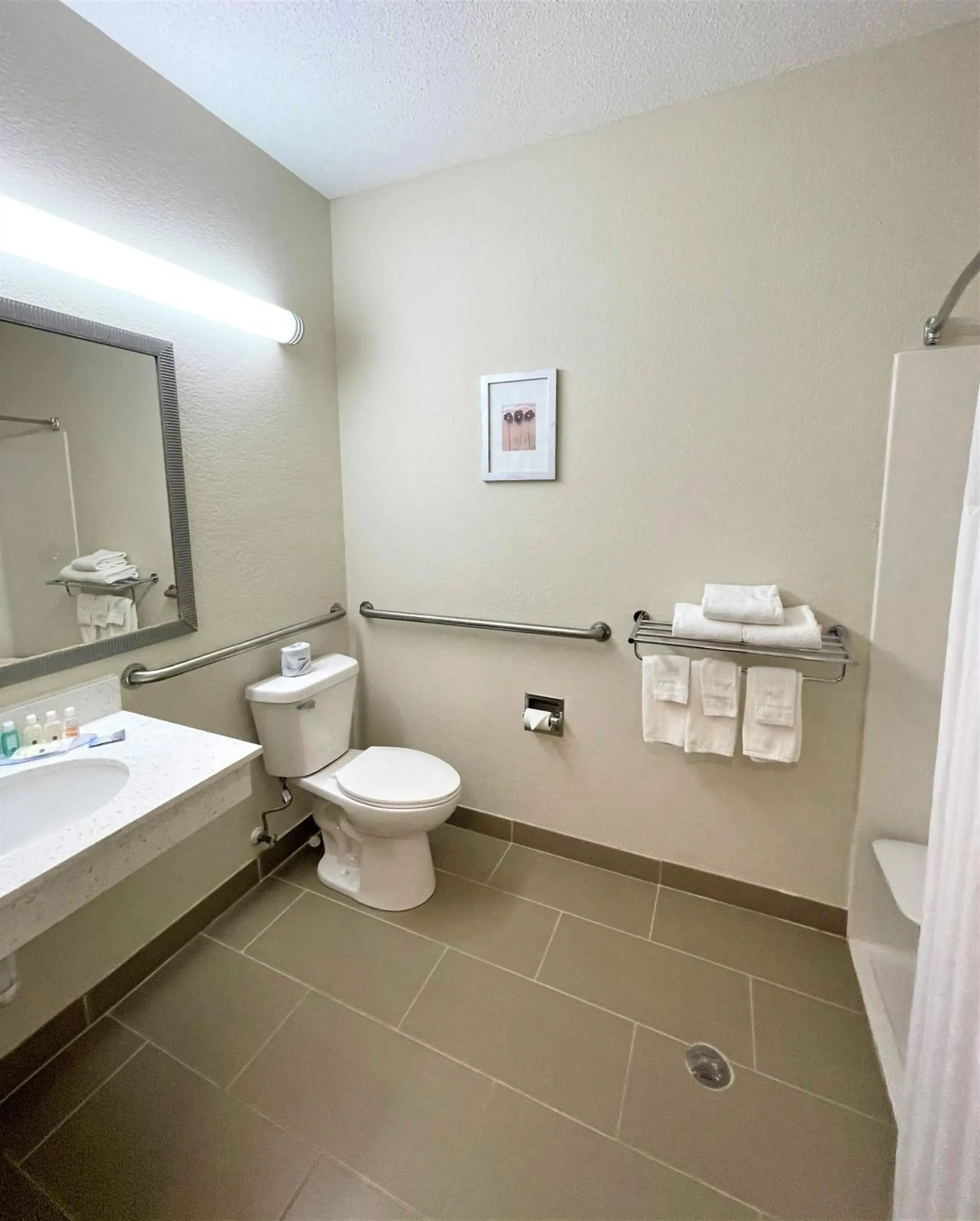King Room - Accessible/Non-Smoking in Quality Inn & Suites King Room - Accessible/Non-Smoking in Quality Inn & Suites