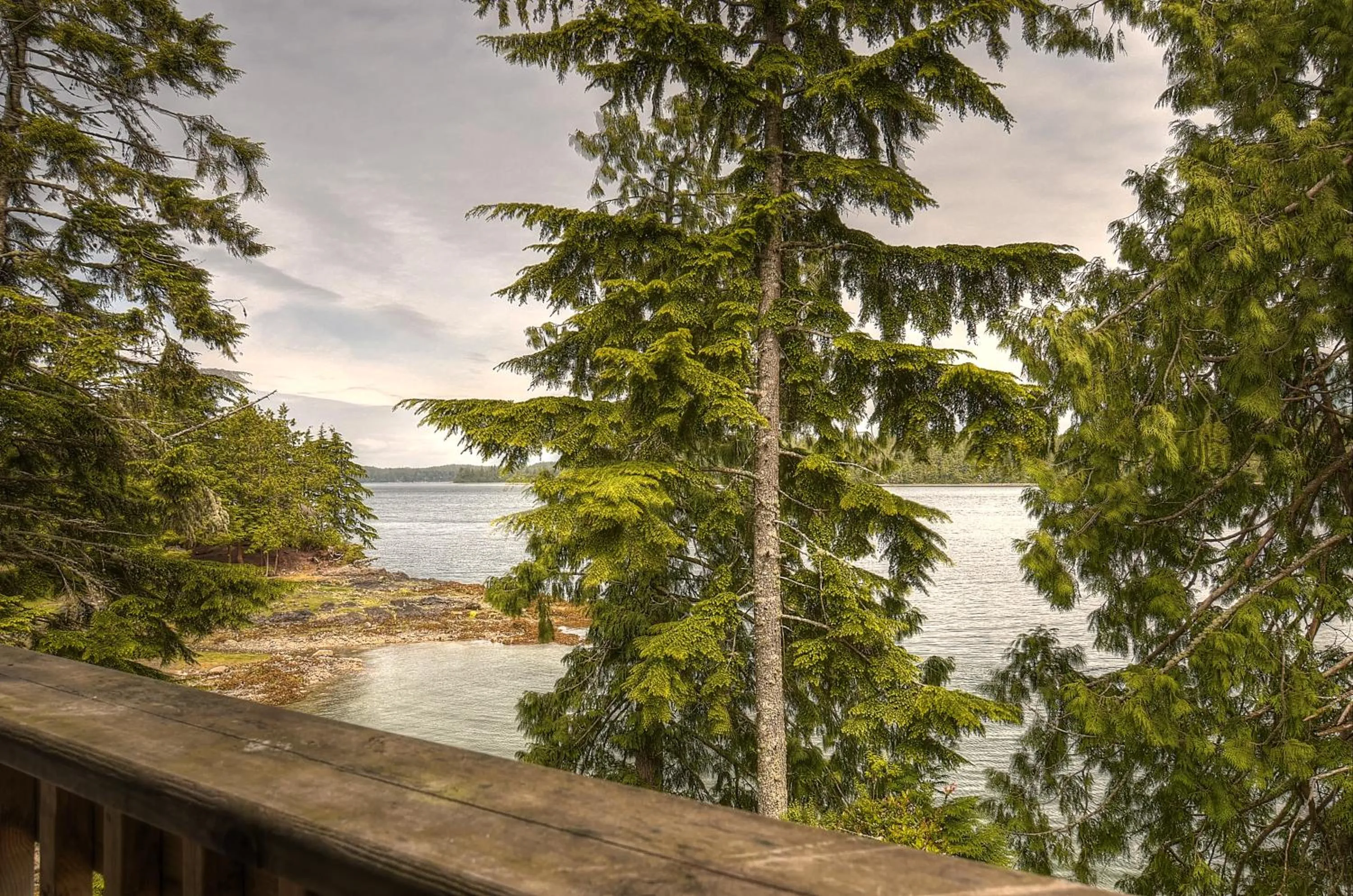 Natural landscape in Waters Edge Shoreside Suites