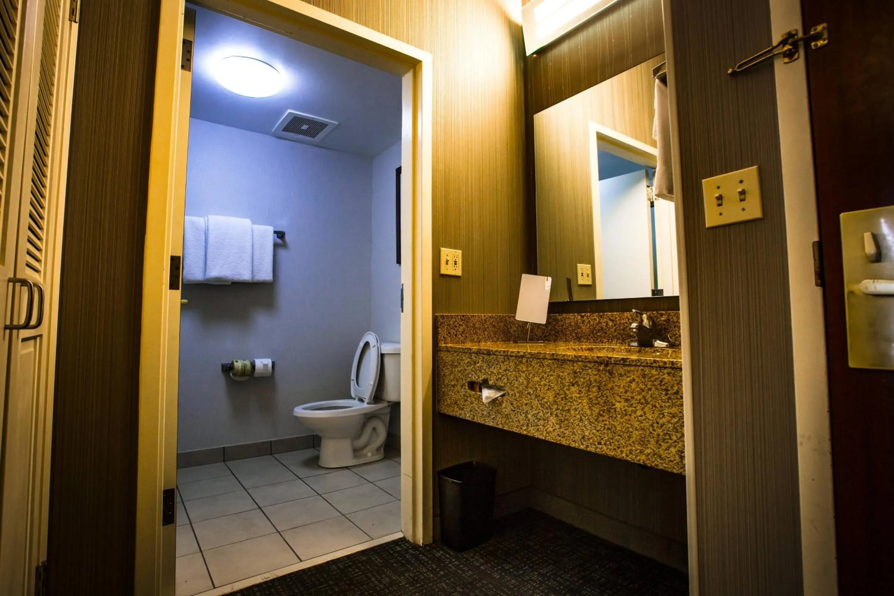 Bathroom in Courtyard Memphis East/Bill Morris Parkway