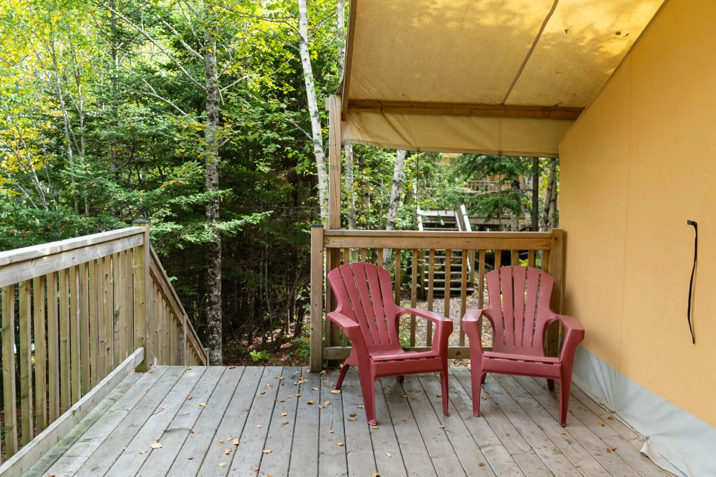 Patio in Dominion Hill Country Inn
