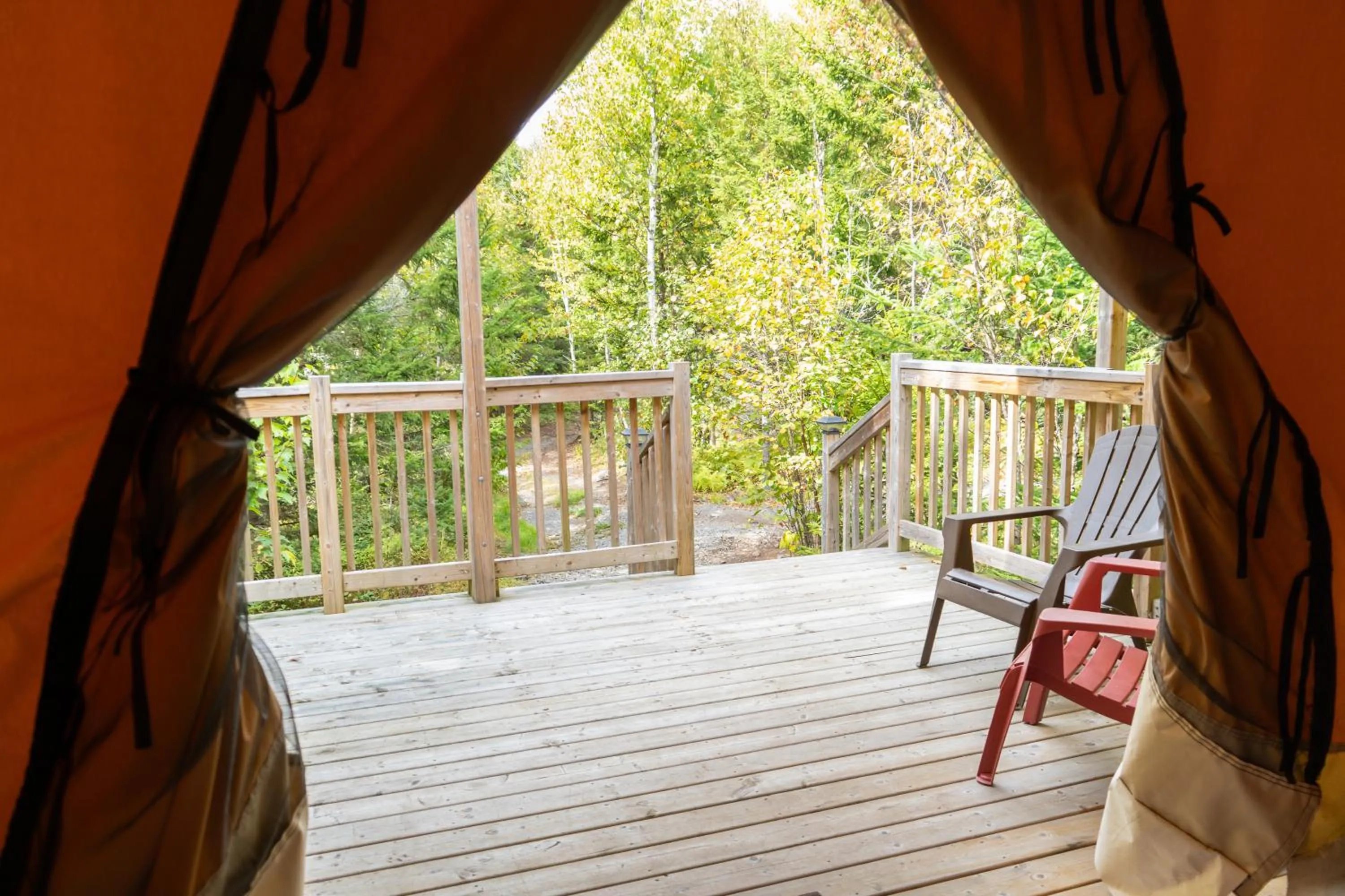Natural landscape in Dominion Hill Country Inn