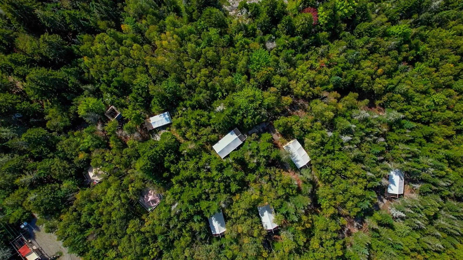 Natural landscape in Dominion Hill Country Inn