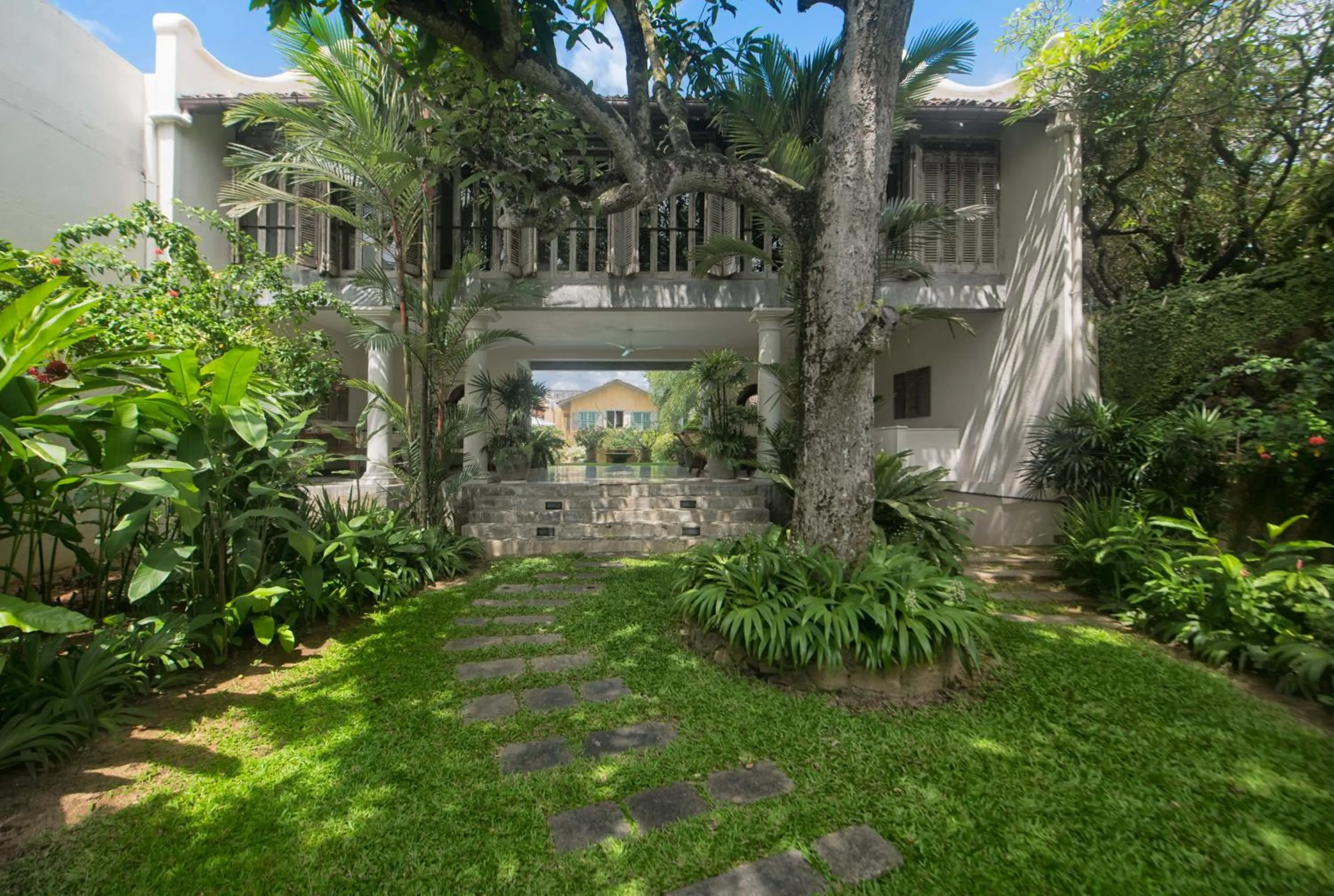 Garden in 20 Middle Street