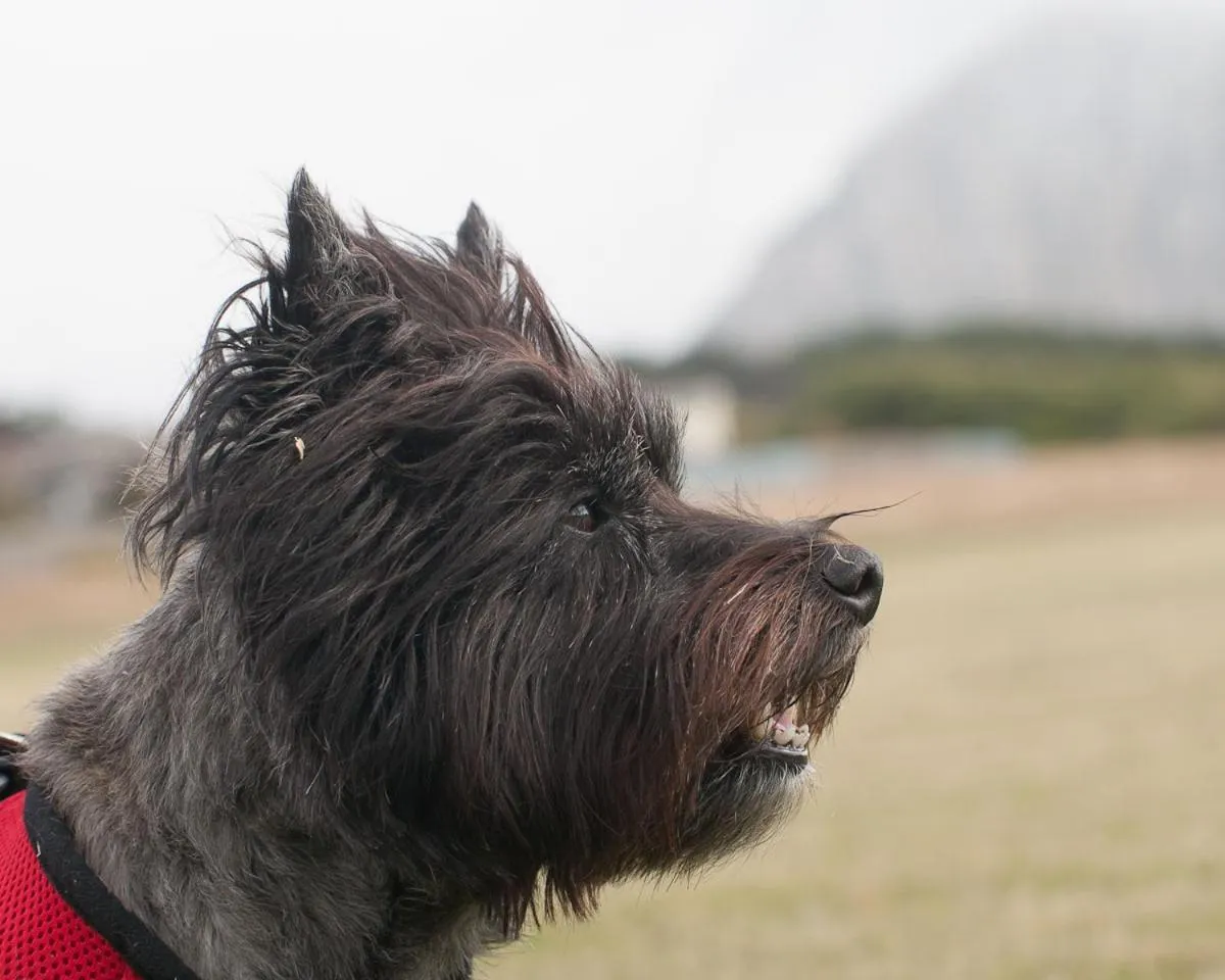 Restaurant/places to eat in Bayfront Inn