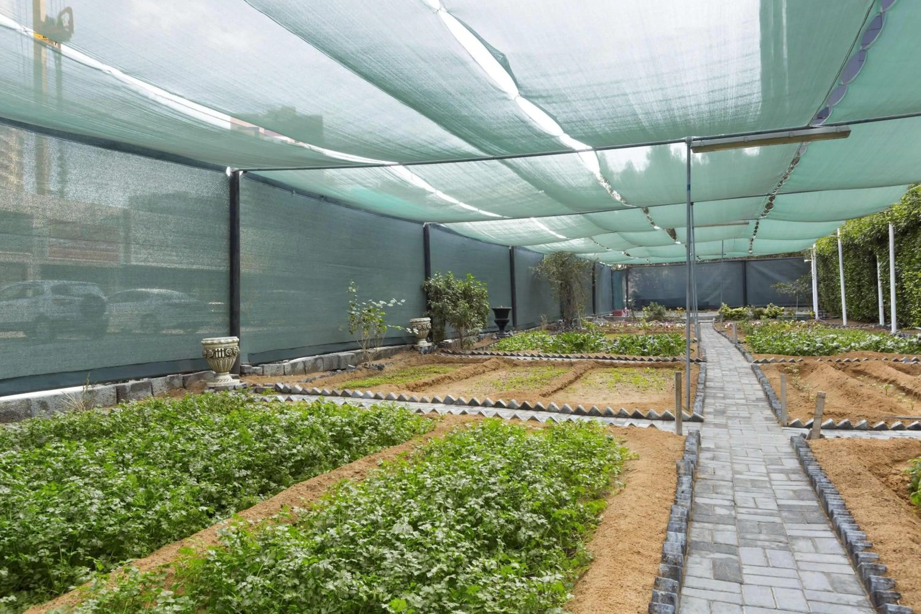 Other in Ramada Hotel & Suites by Wyndham Ajman