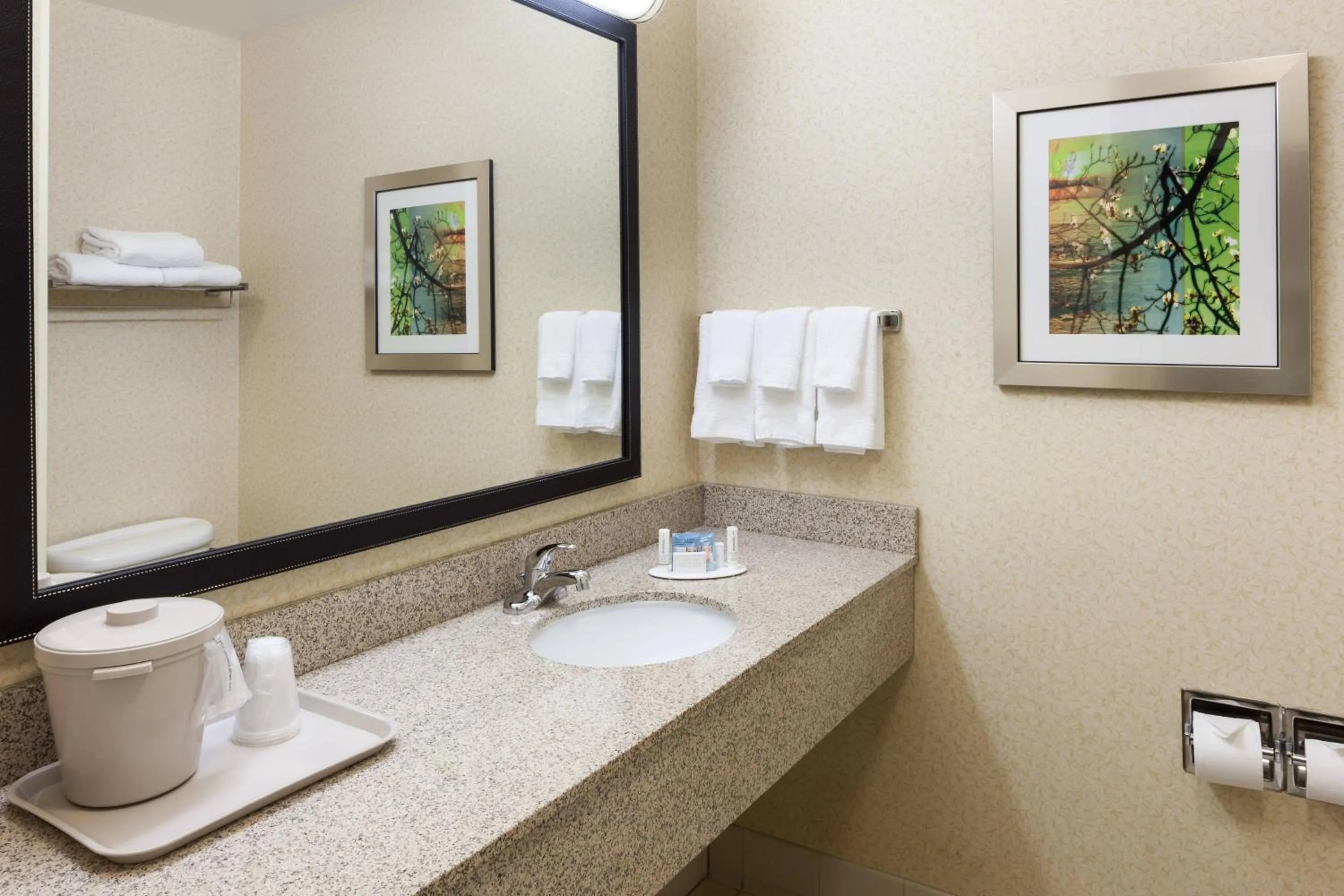 Bathroom in Fairfield by Marriott Ruston