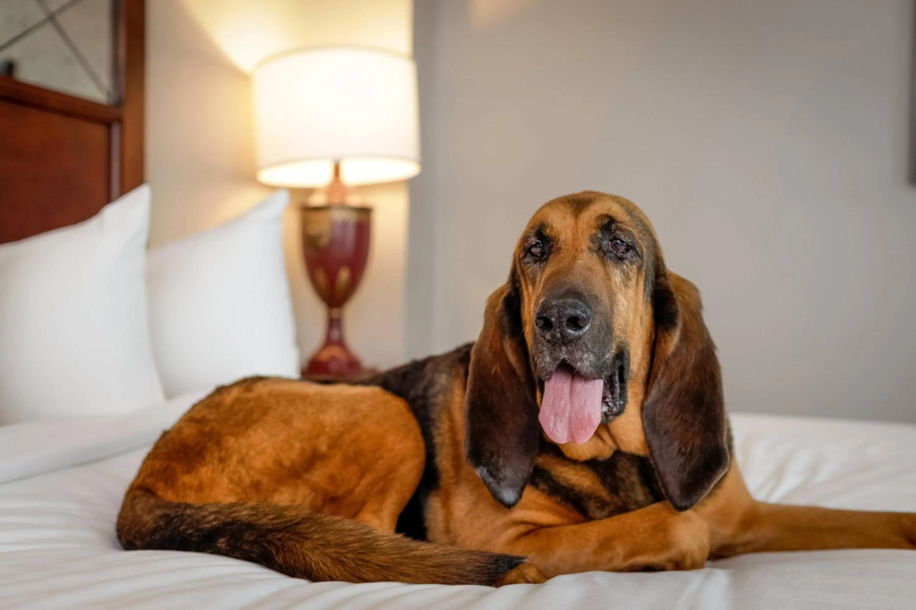 Other in The Battle House Renaissance Mobile Hotel & Spa