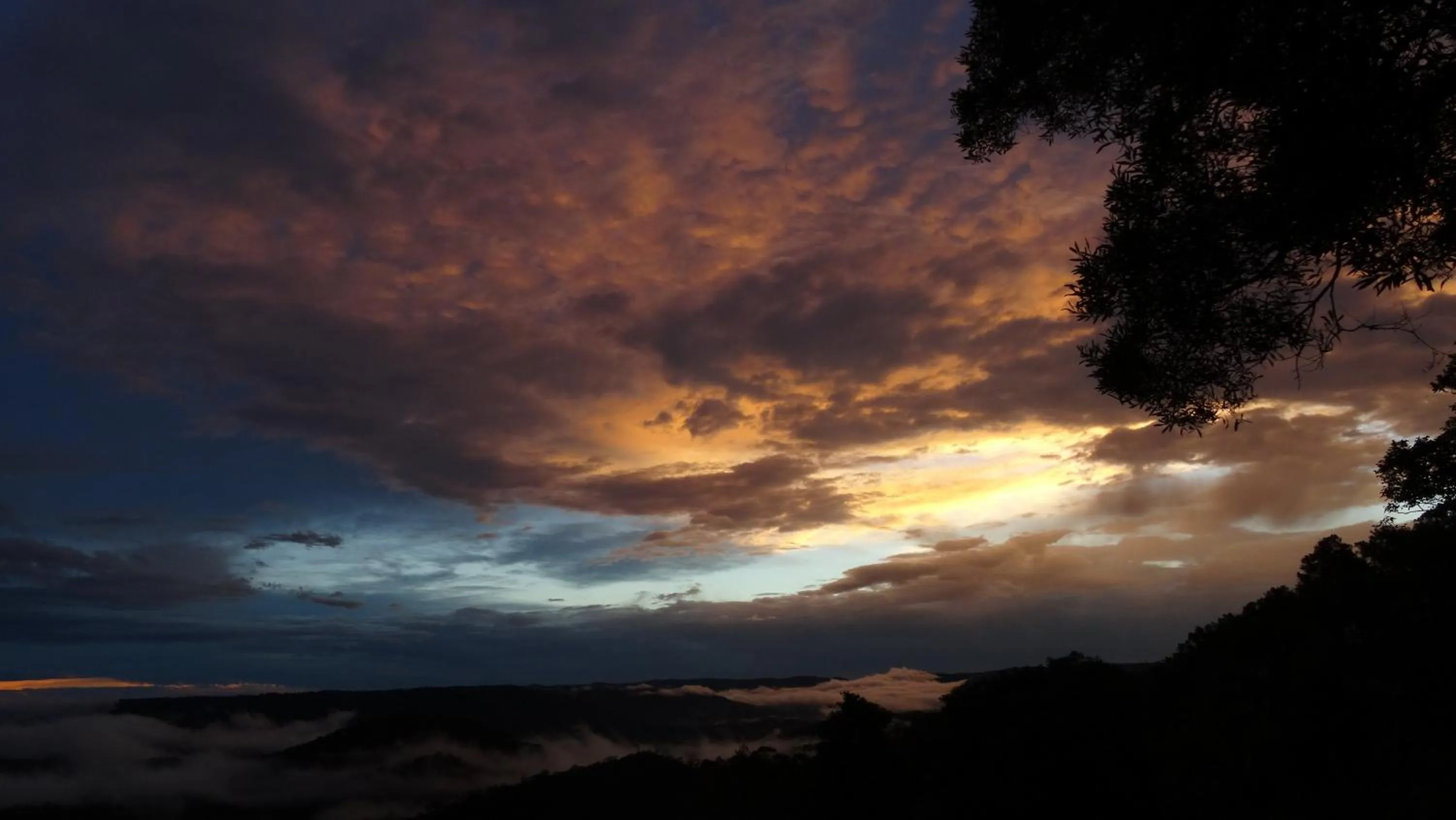 Mountain view in Maleny Luxury Cottages