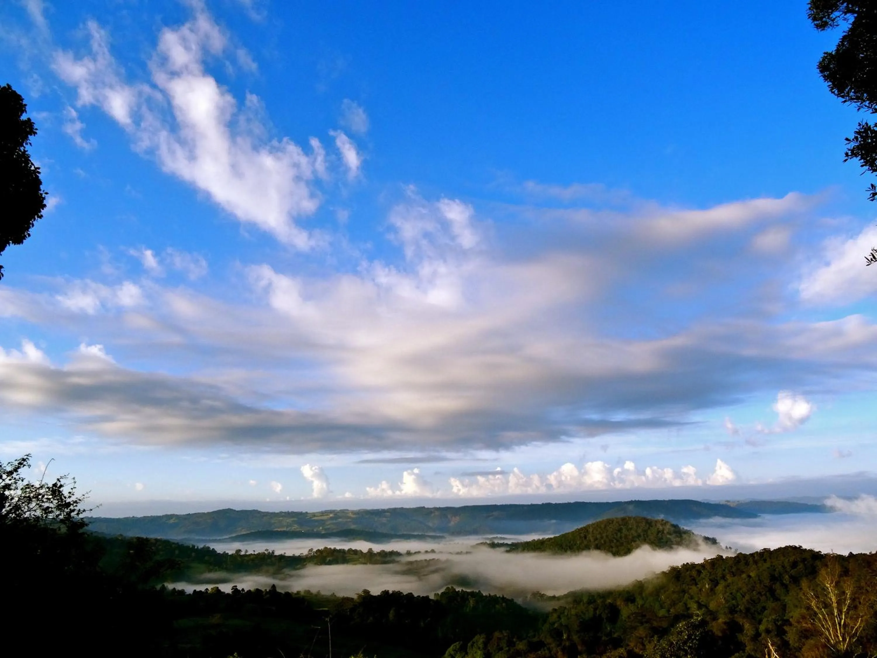 View (from property/room) in Maleny Luxury Cottages