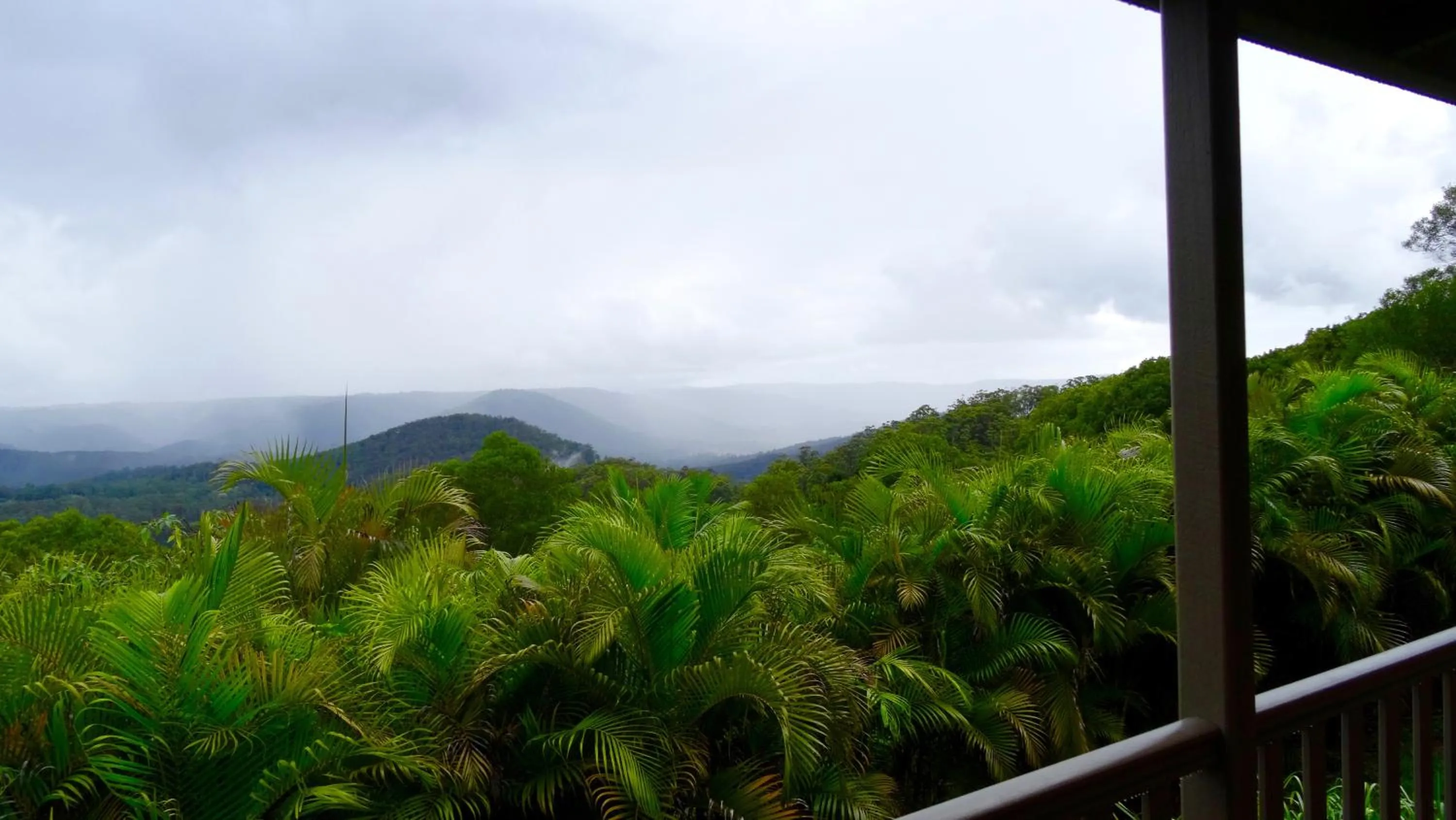 Balcony/Terrace in Maleny Luxury Cottages