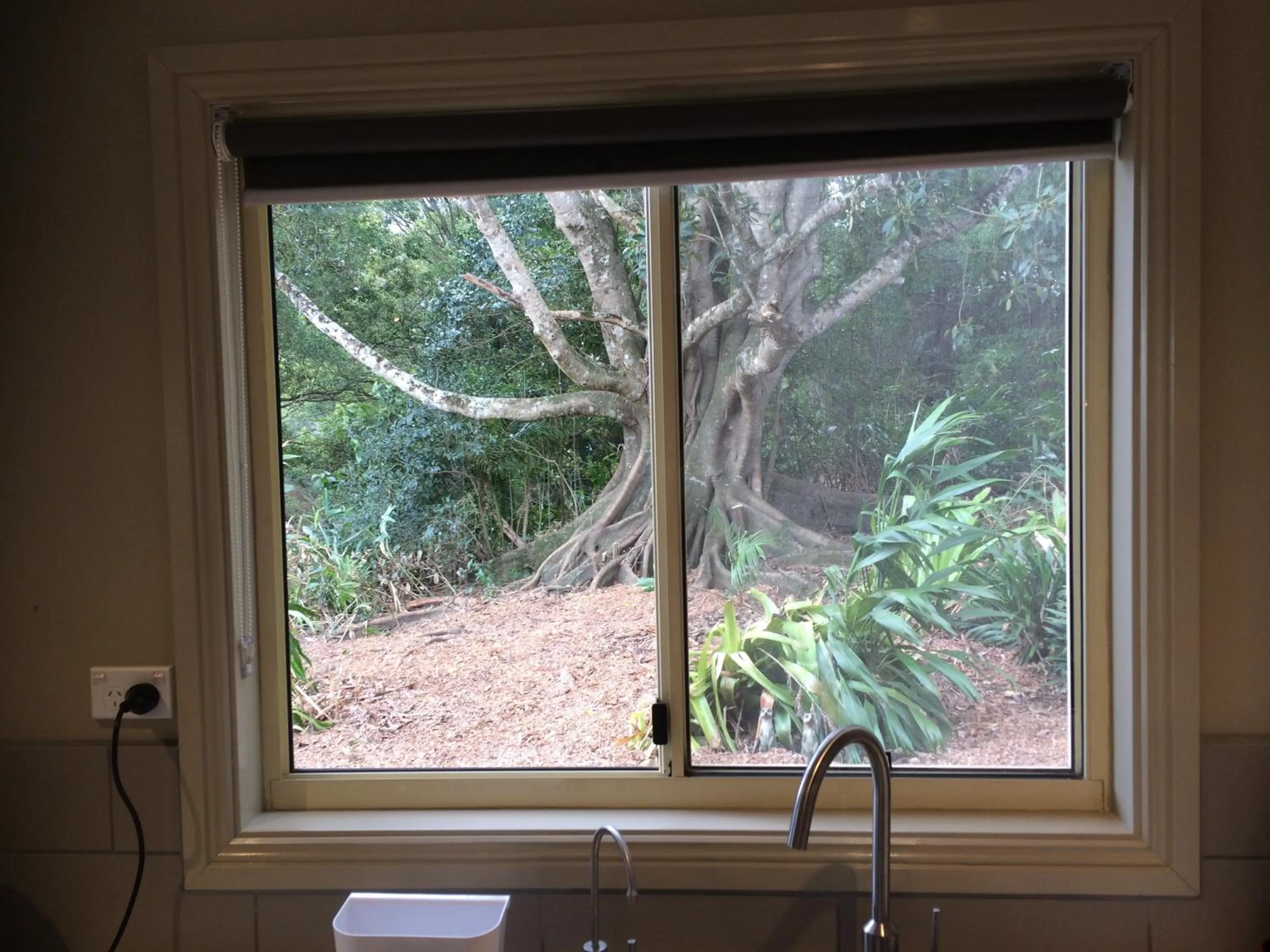 View (from property/room) in Maleny Luxury Cottages