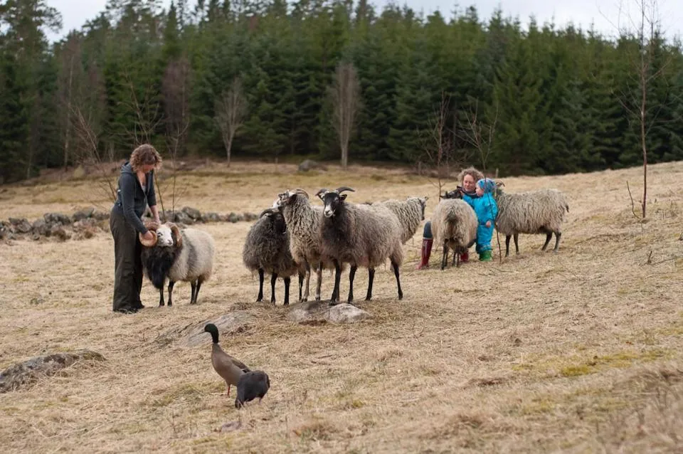 Winter in Escape to PaulssonPaleo