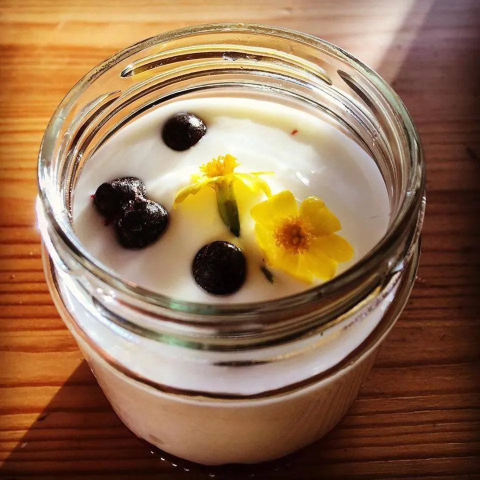 Escape to PaulssonPaleo