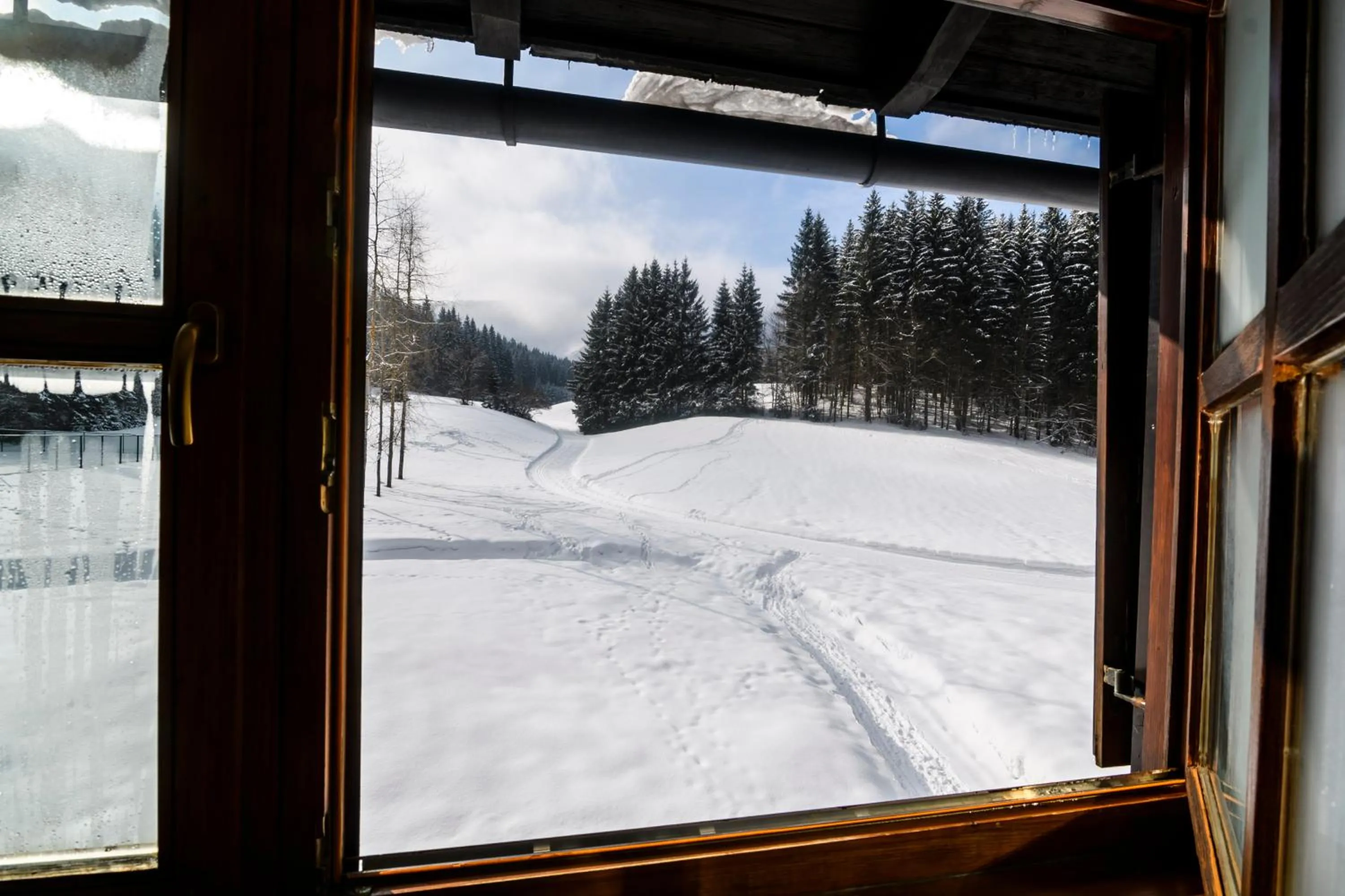 View (from property/room) in BS-Ötscher Hotel