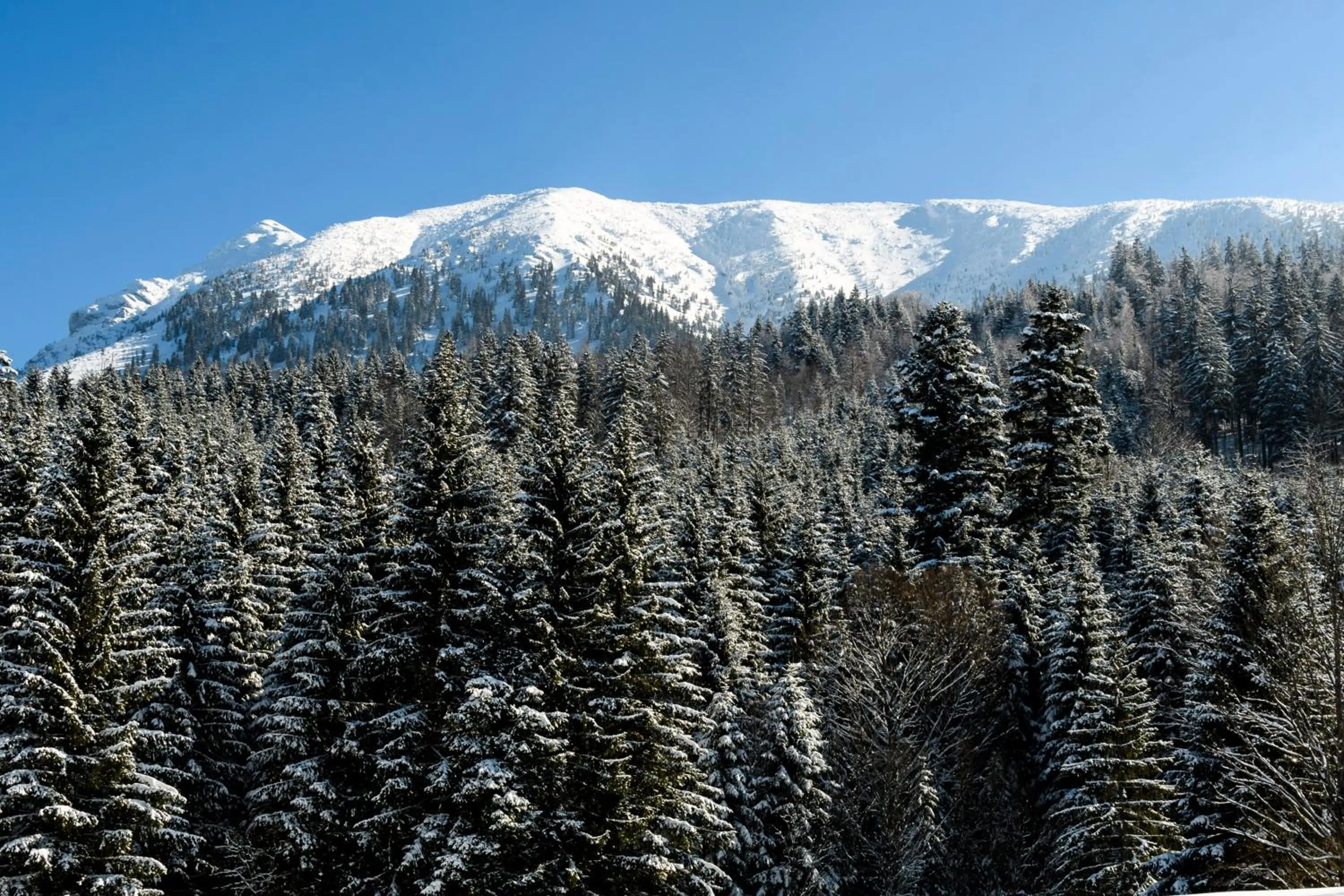 Mountain view in BS-Ötscher Hotel
