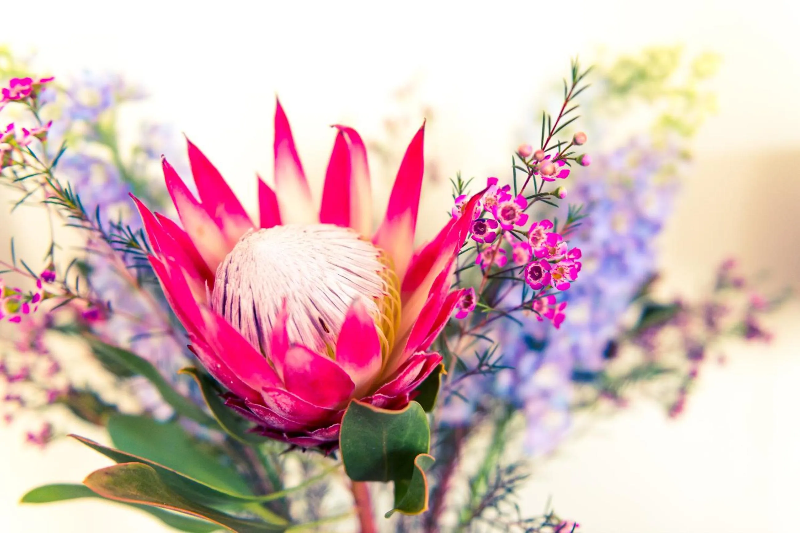 Decorative detail in Le Mahi Guest House