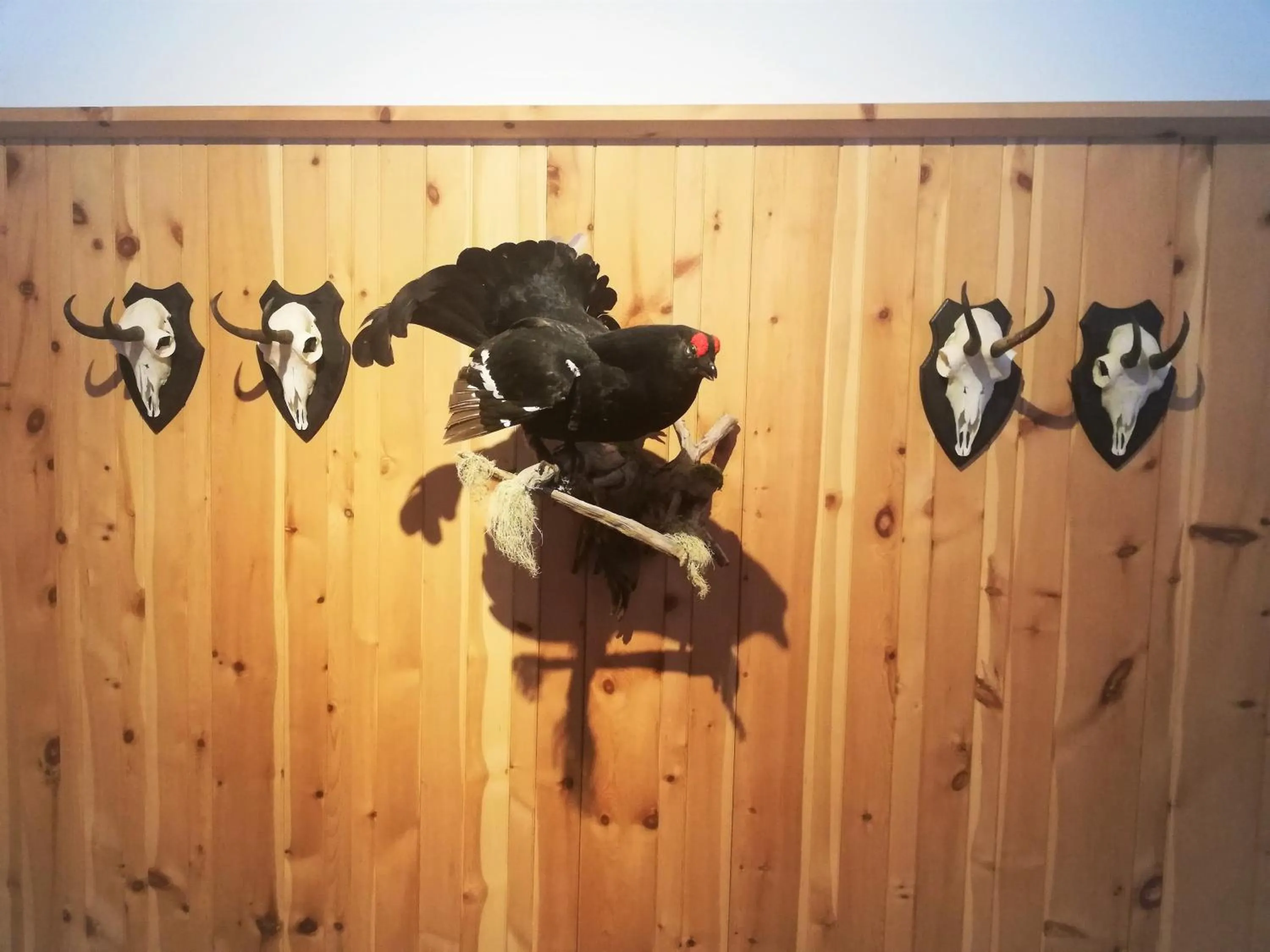 Restaurant/places to eat in Ködnitzhof