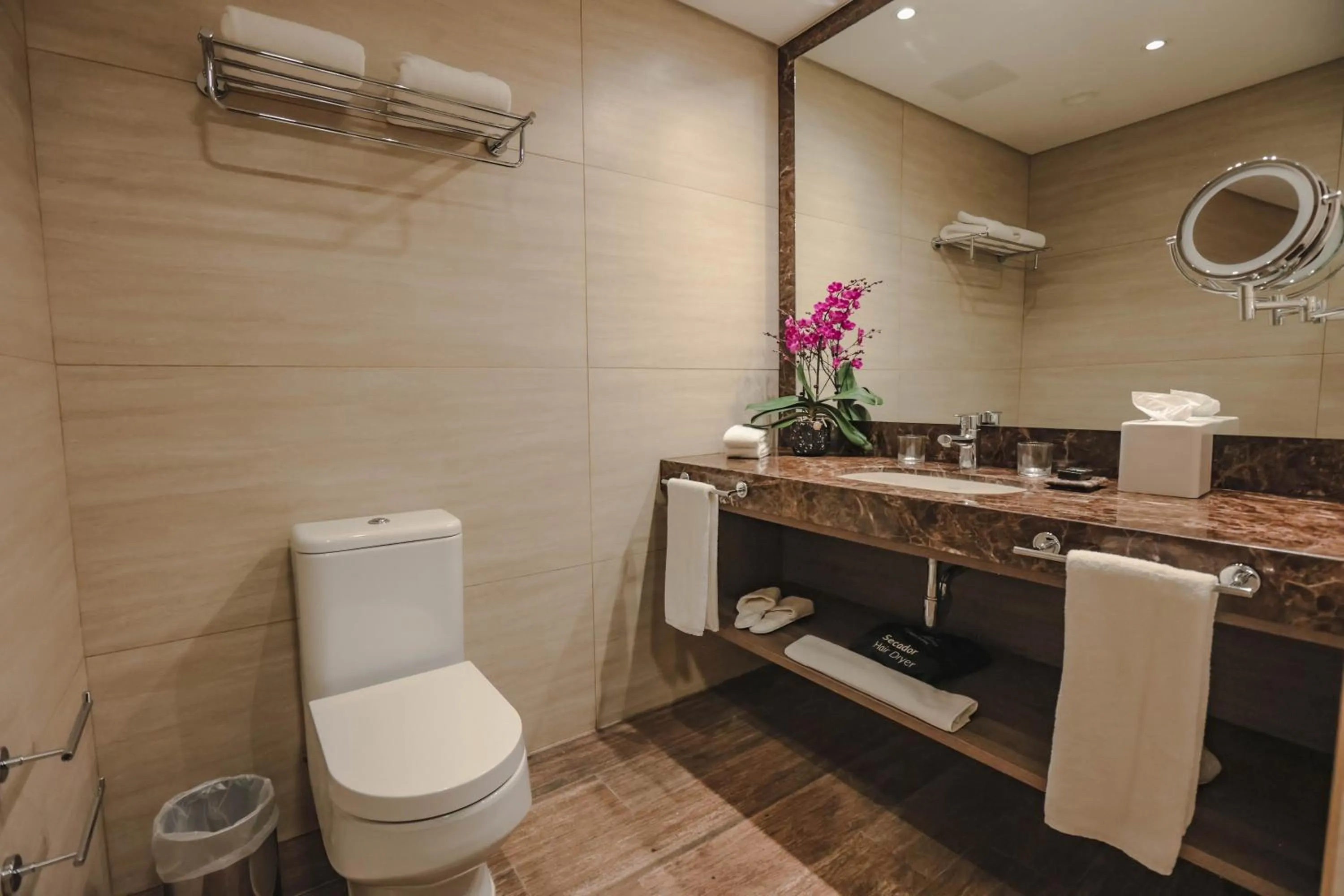 Toilet in Paseo La Galería Hotel & Suites