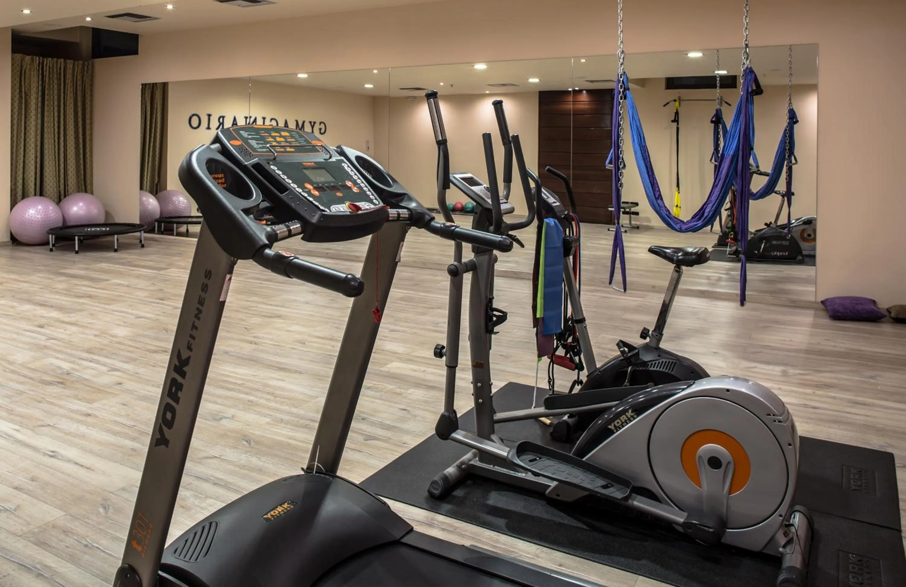 Fitness centre/facilities in Dekelia Hotel