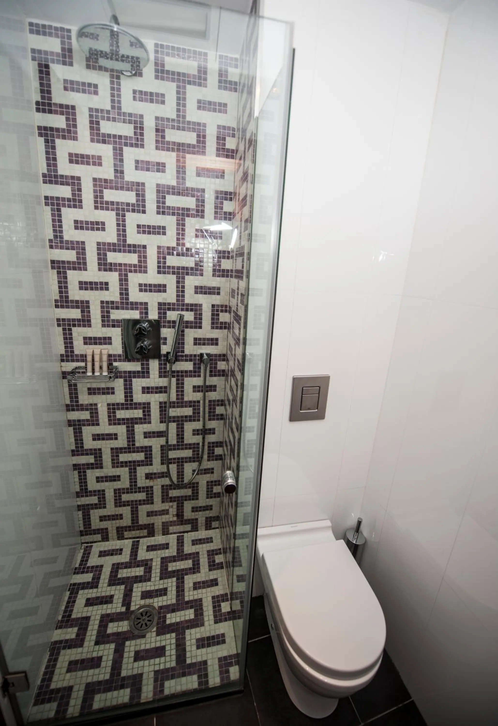 Shower in Posada del León de Oro Boutique Hotel