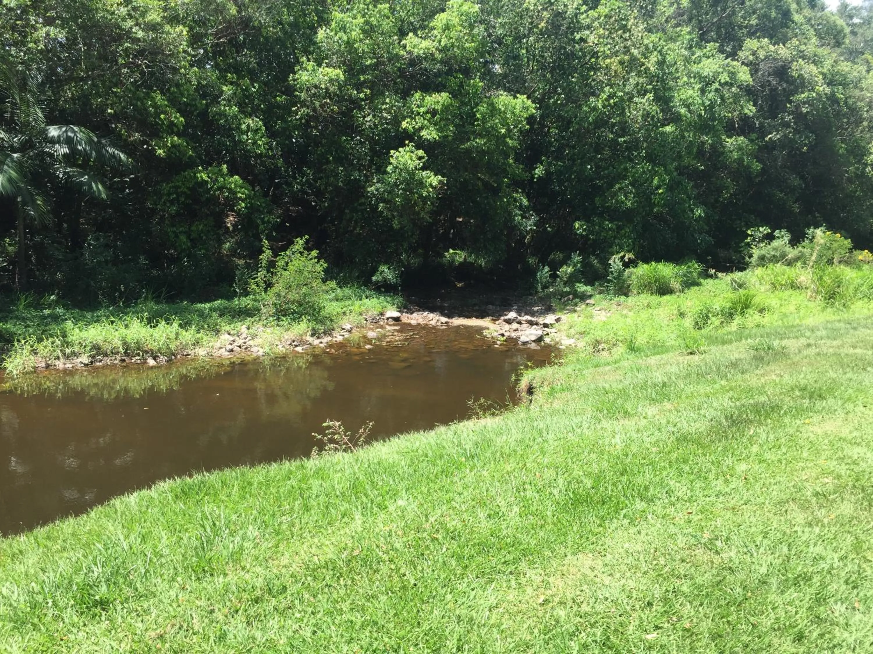 Natural landscape in Yandina Caravan Park