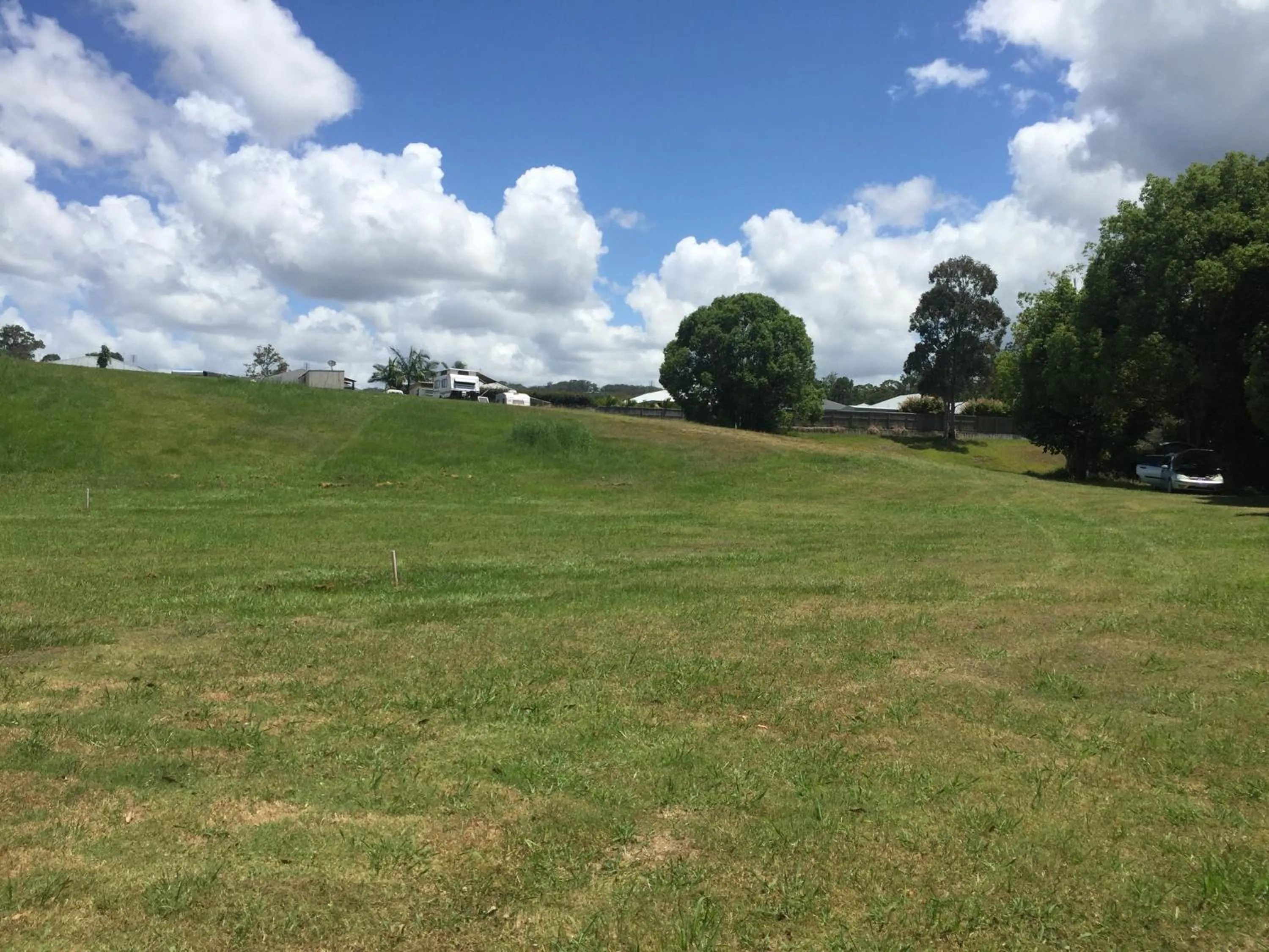 Natural landscape in Yandina Caravan Park