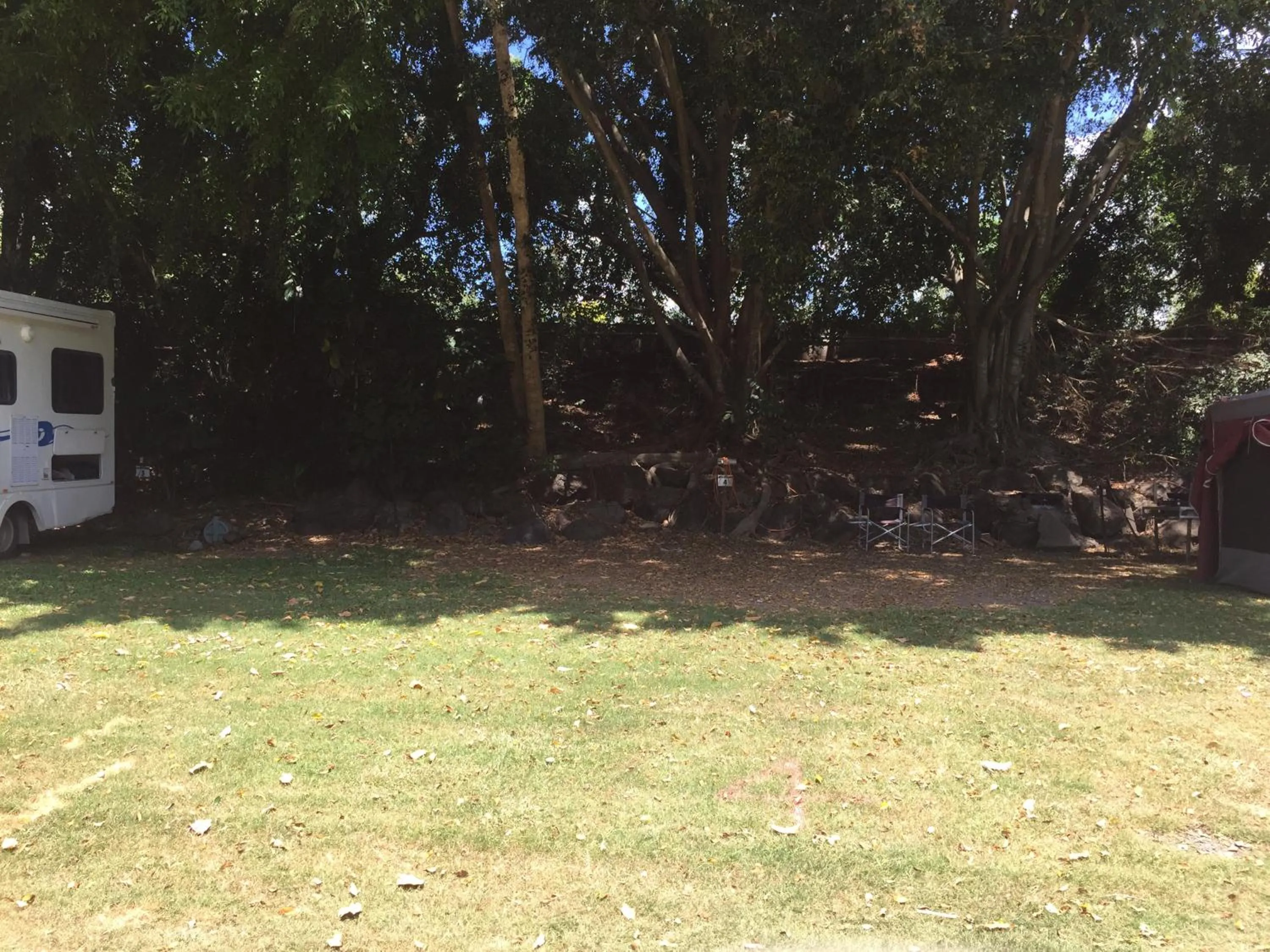 Natural landscape in Yandina Caravan Park