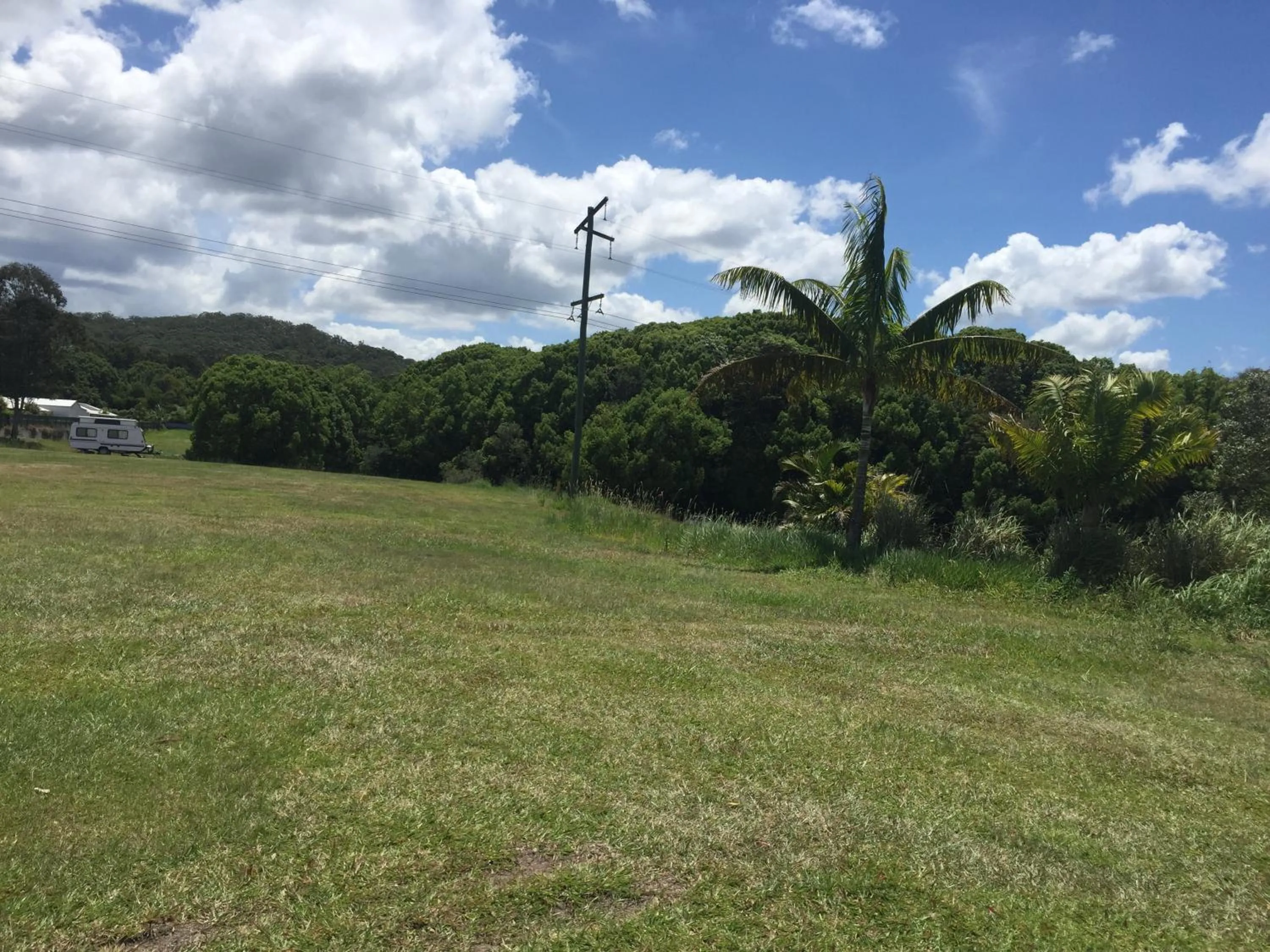 Natural landscape in Yandina Caravan Park