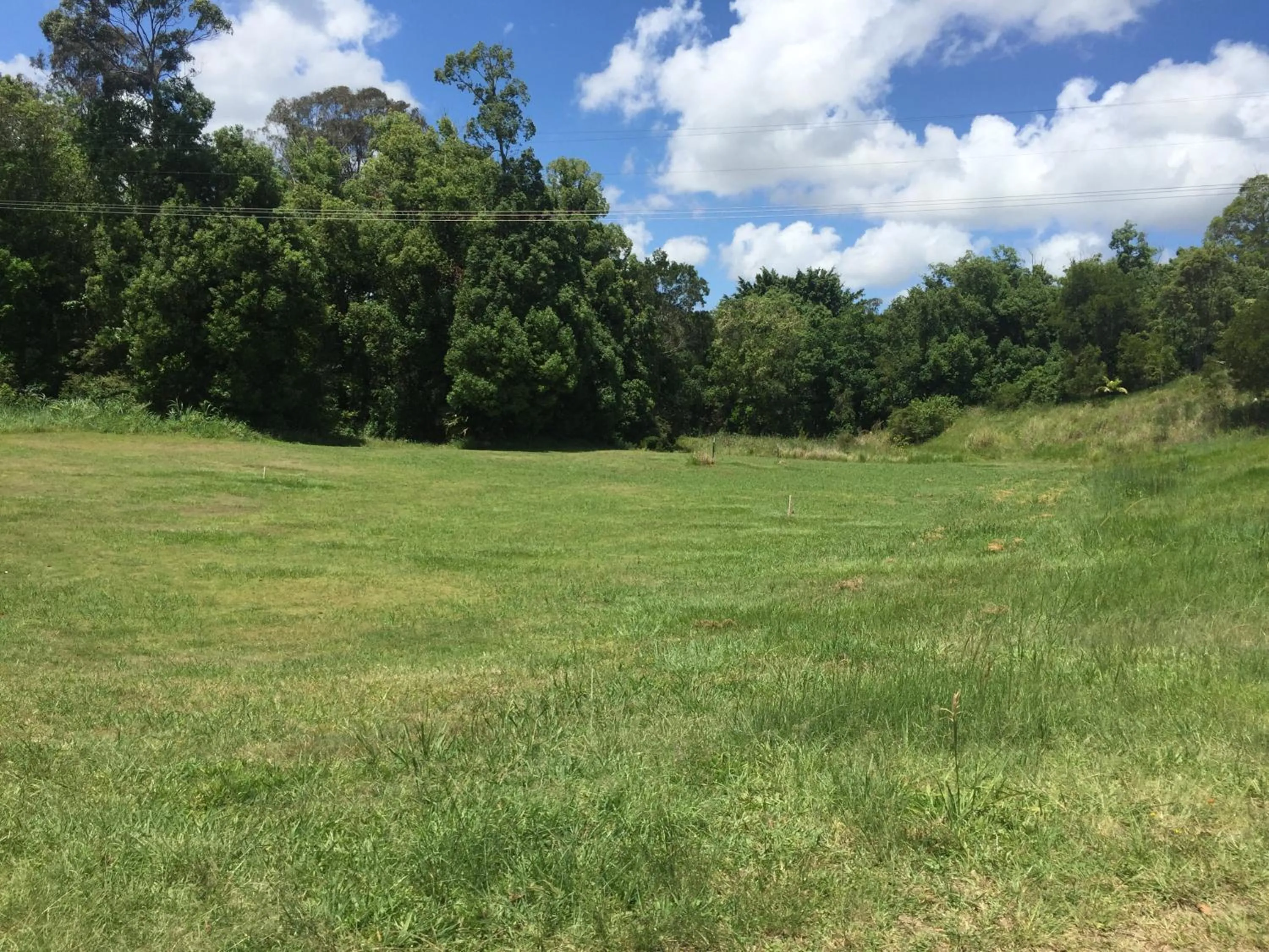 Natural landscape in Yandina Caravan Park