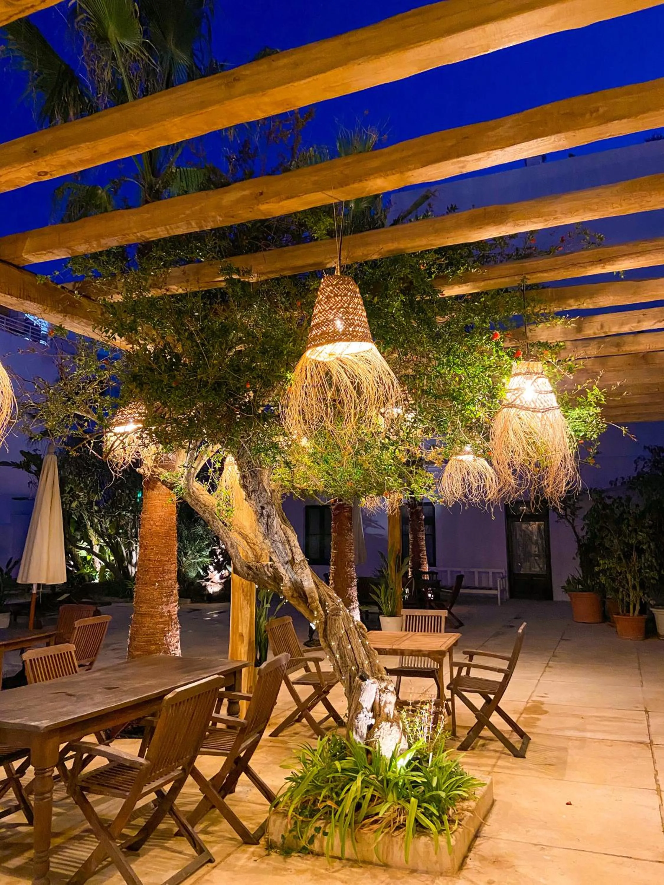 Garden in La Bohemia del Rio Boutique Hotel - Adults Only