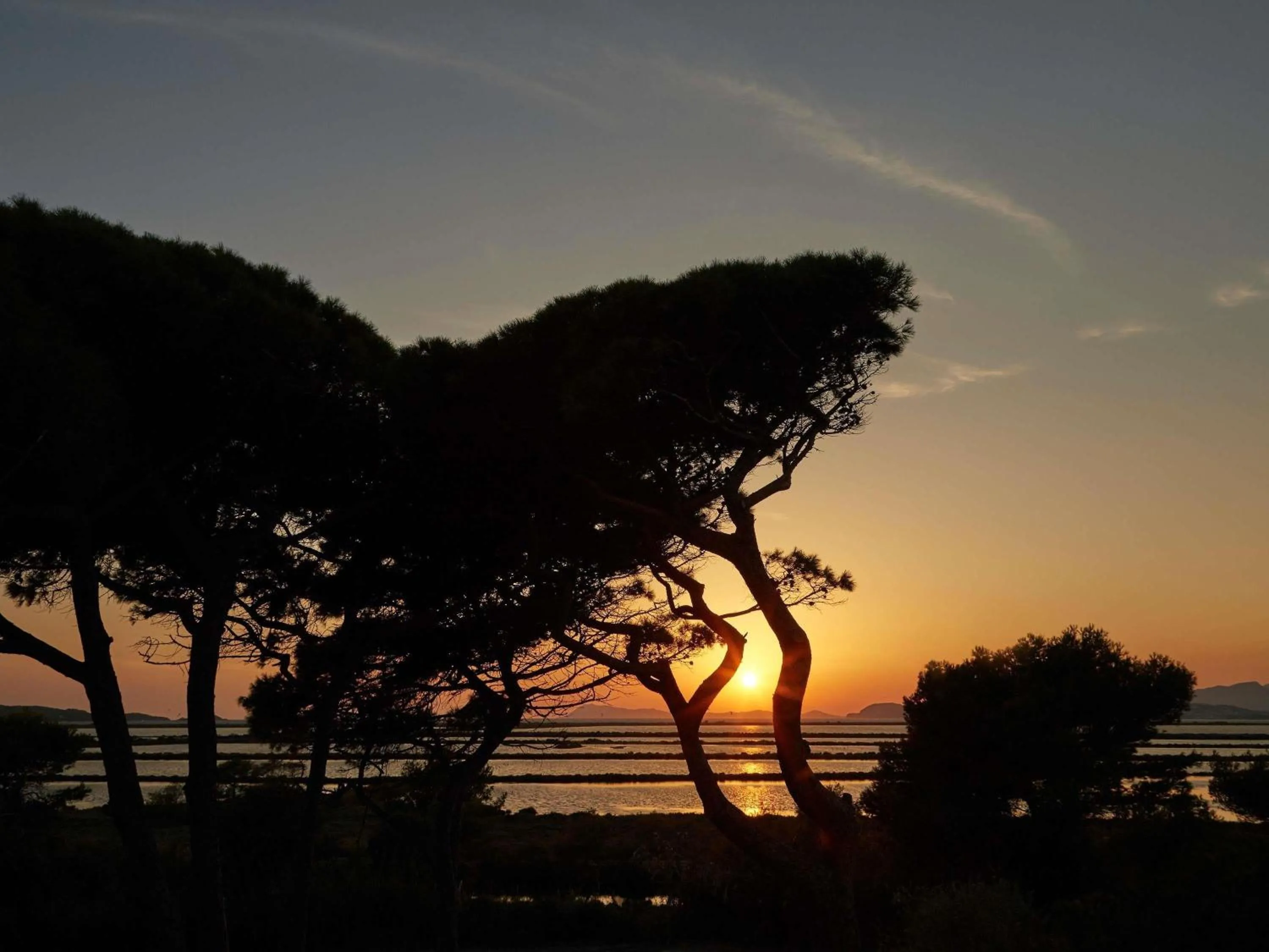 Property building in Ibis Budget Hyères