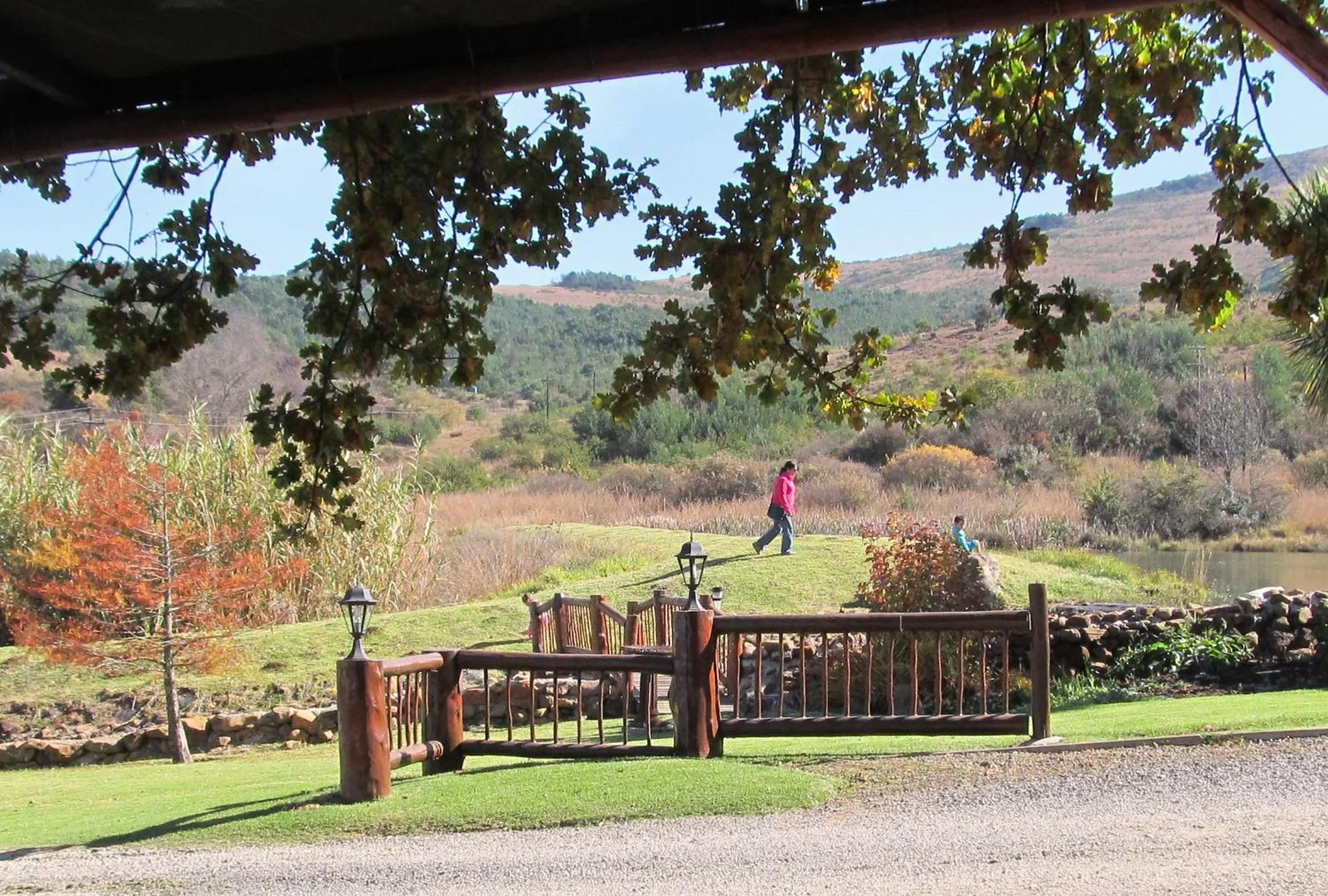 Garden in The Old Orchard Guest House