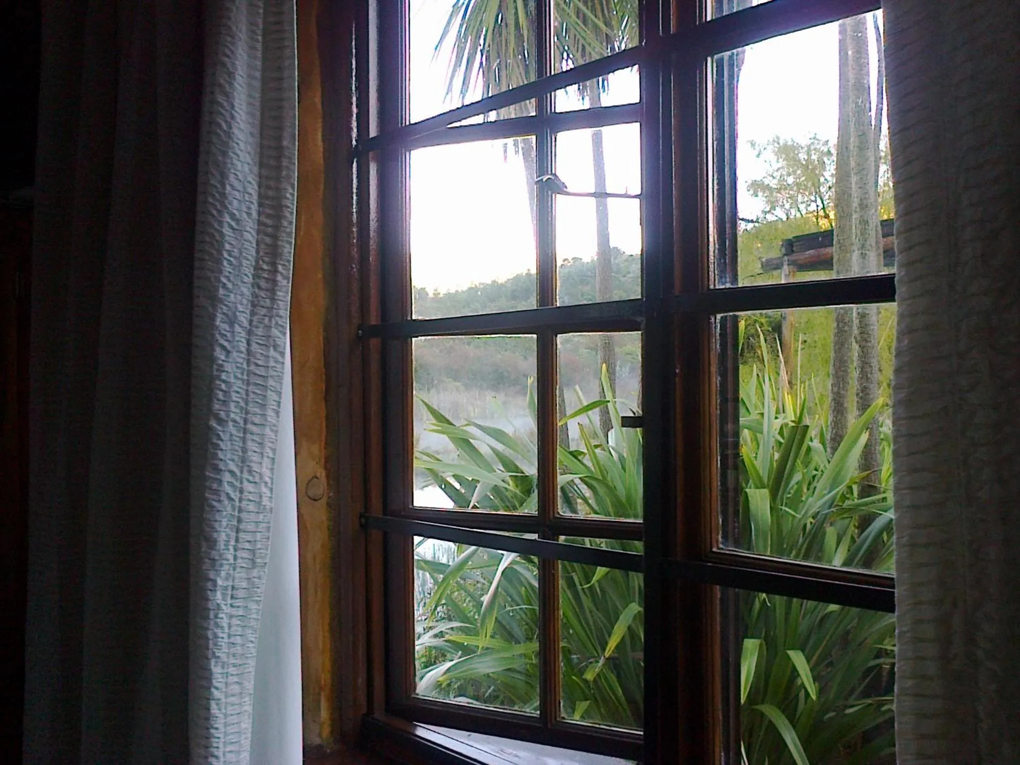 View (from property/room) in The Old Orchard Guest House