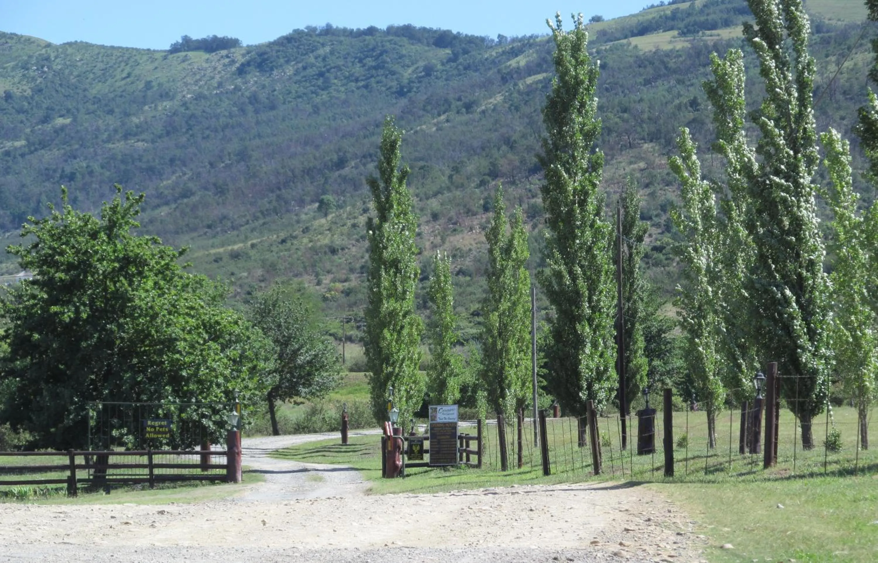 View (from property/room) in The Old Orchard Guest House