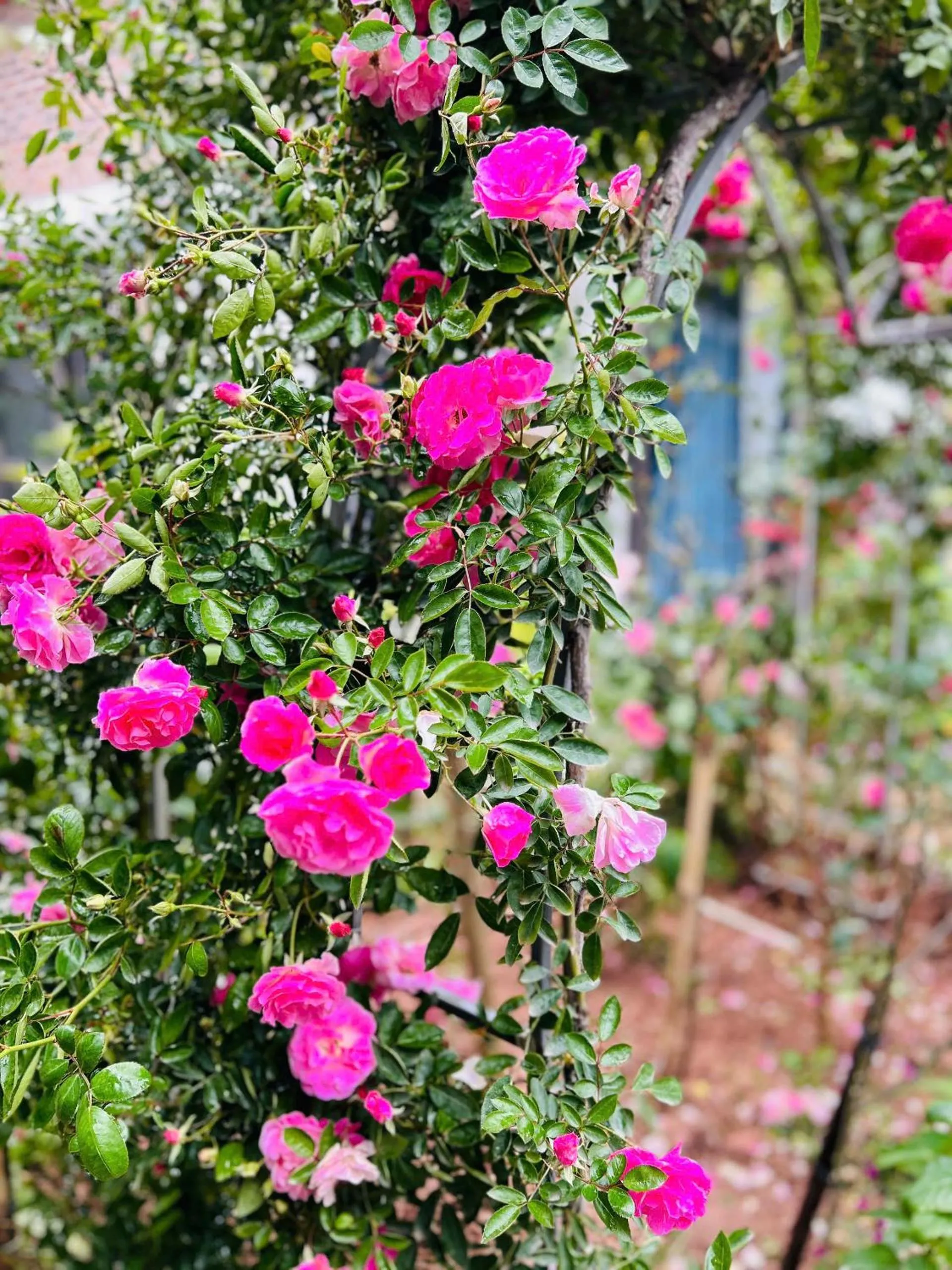 Tam Coc Boutique Garden