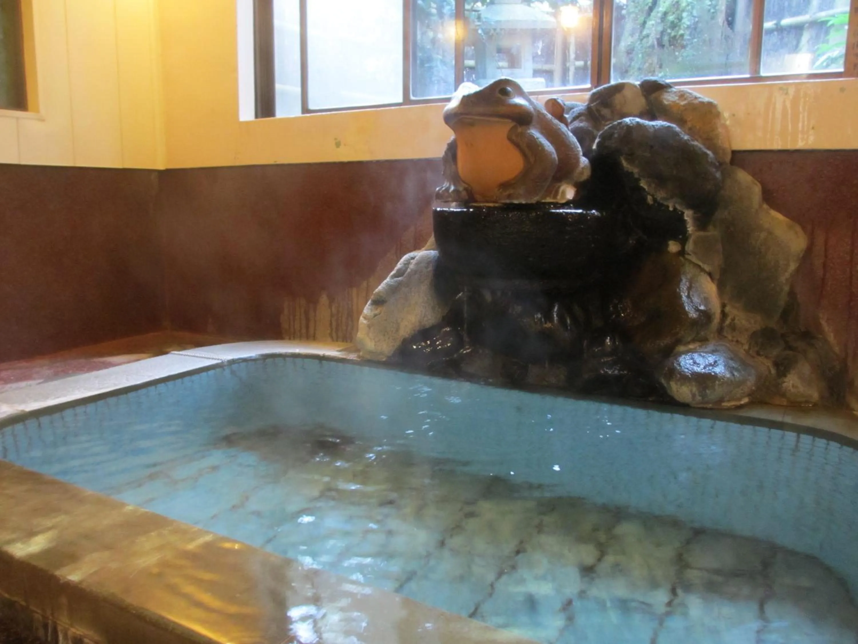 Hot Spring Bath in Yamagaso