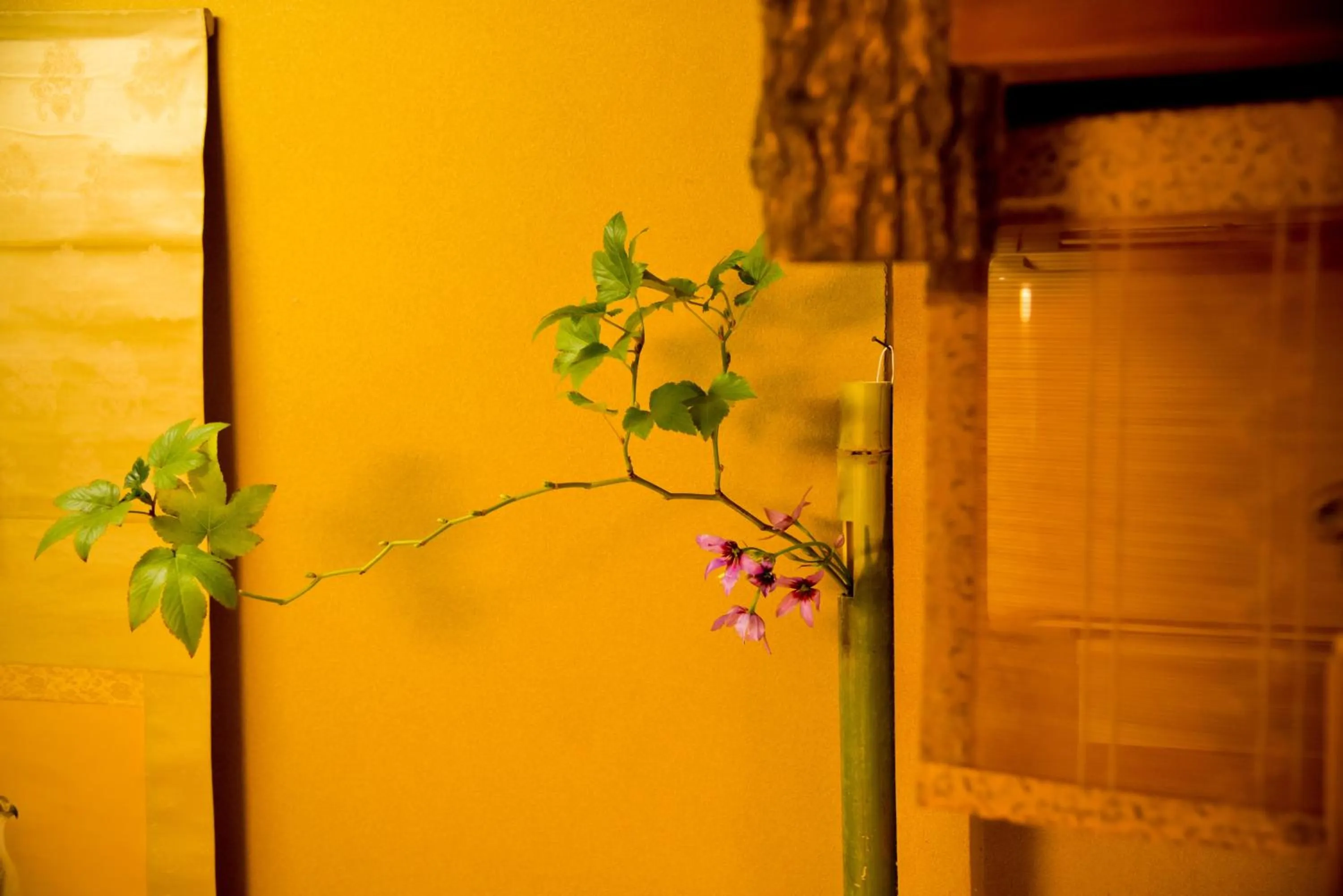 Property building in Yamagaso