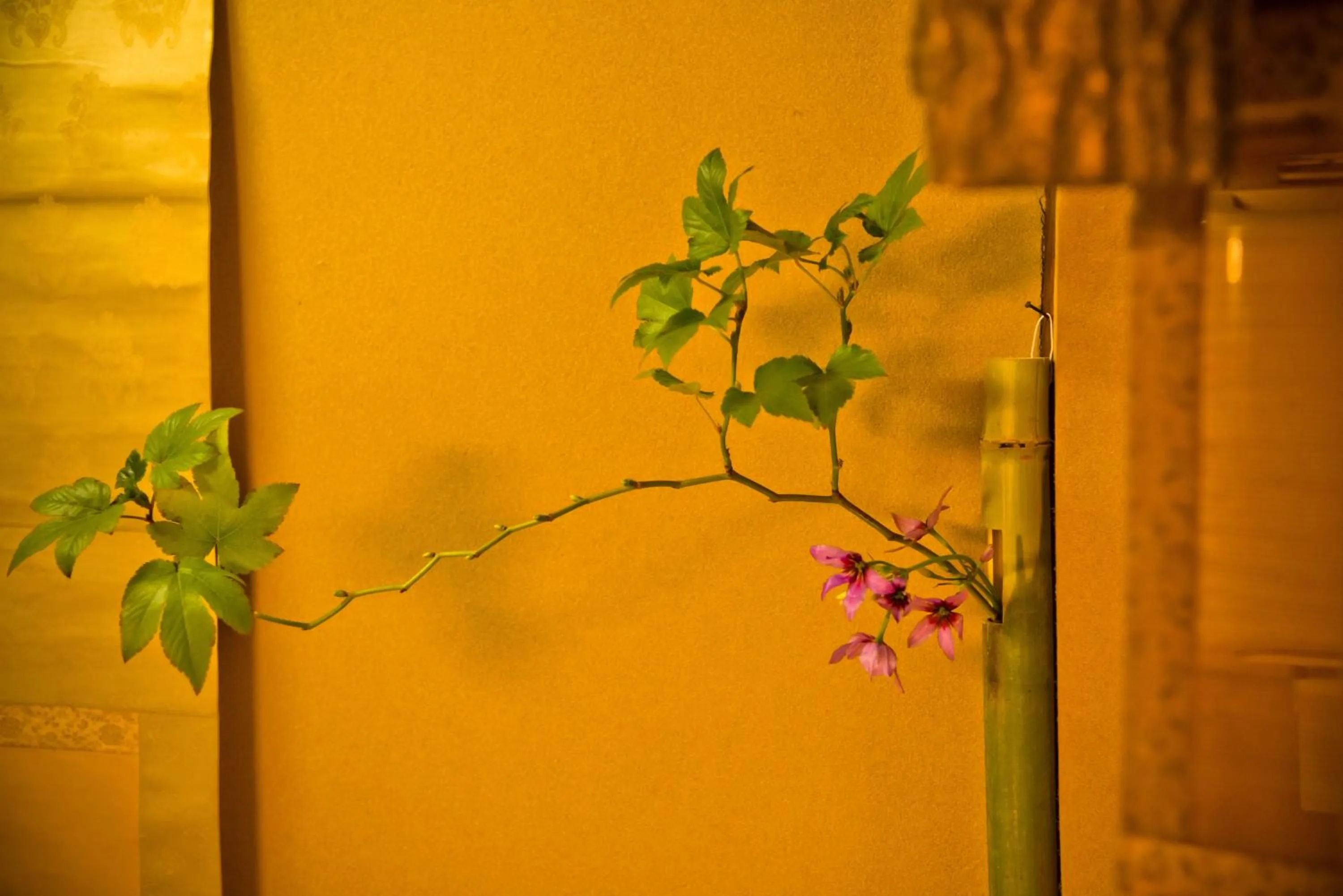 Photo of the whole room in Yamagaso