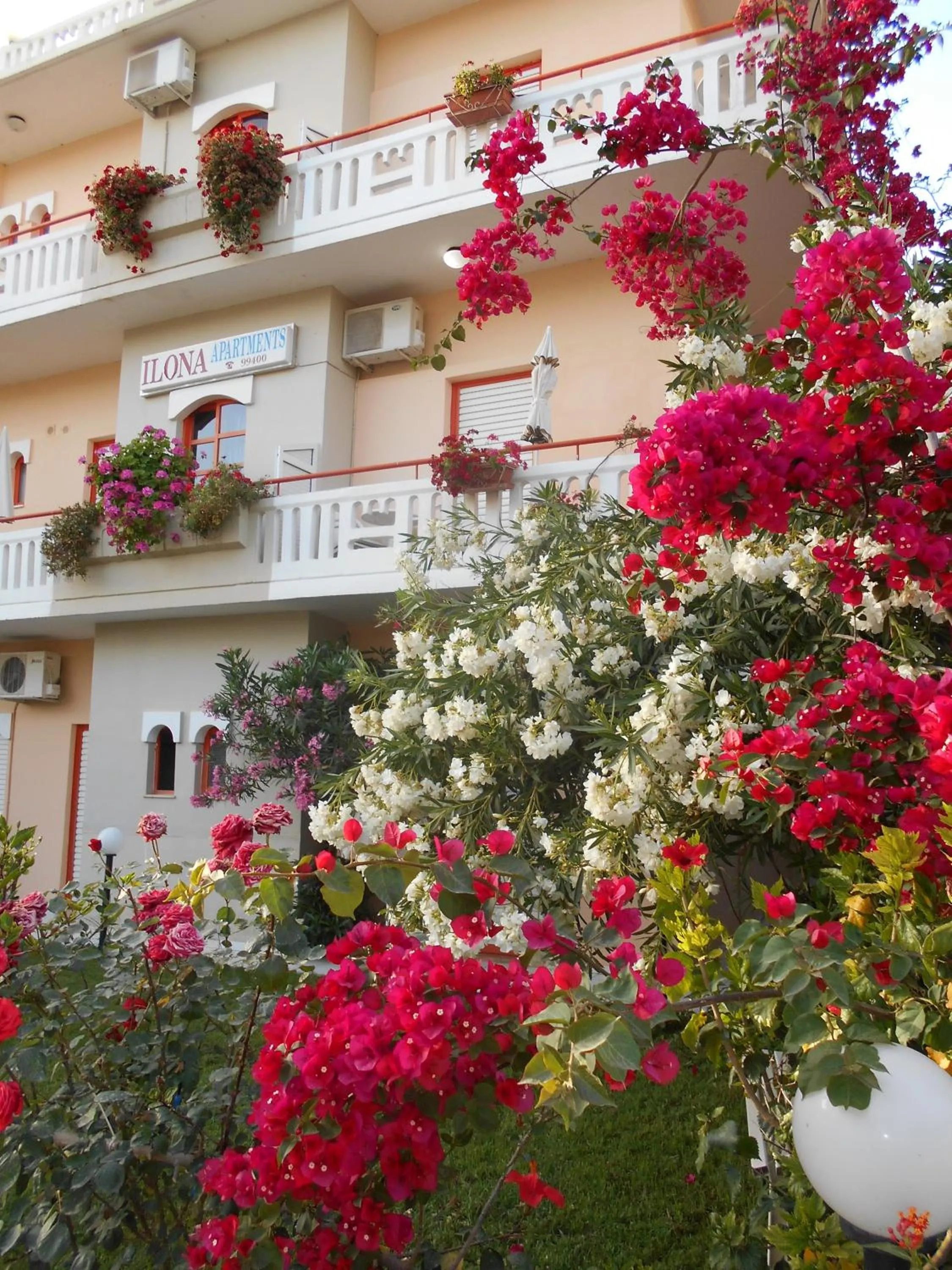 Garden in Ilona Apartments Chania